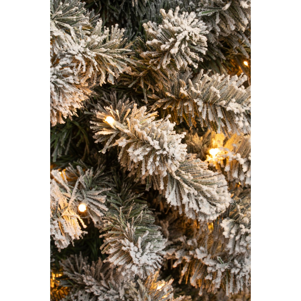 Snow-covered Christmas tree branches with warm white fairy lights.