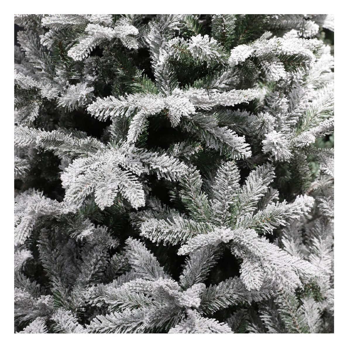 Close-up of densely packed, artificially snow-covered fir branches of a Christmas tree.