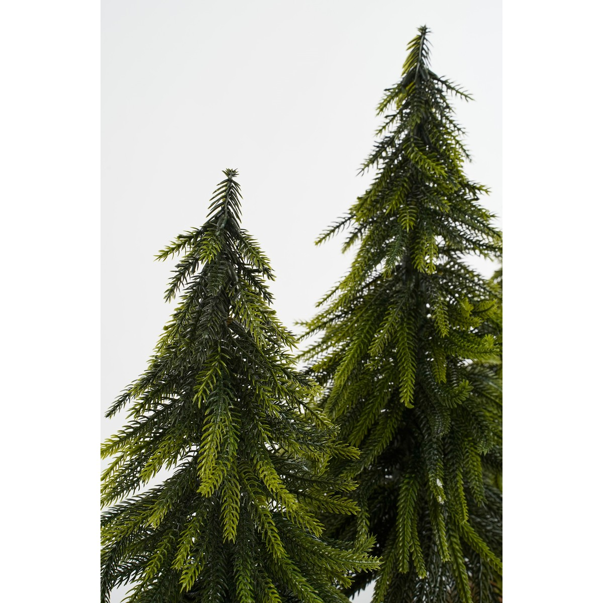 Two artificial green pine trees against a white background.