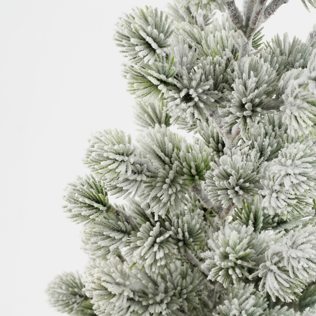 Close-up of artificial pine tree branches covered in white frost against a plain white background.
