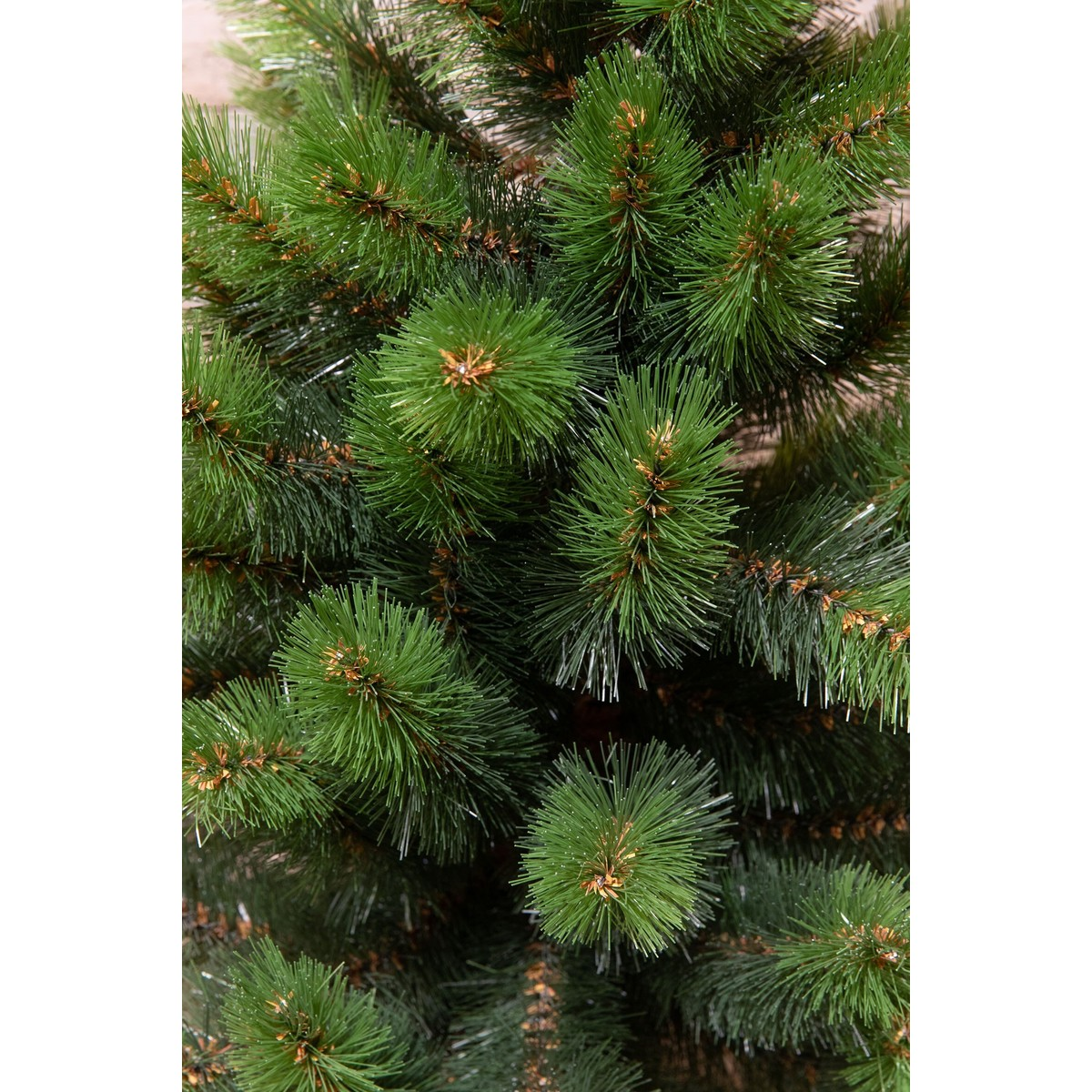 Close-up of dense green pine tree branches with brown accents.