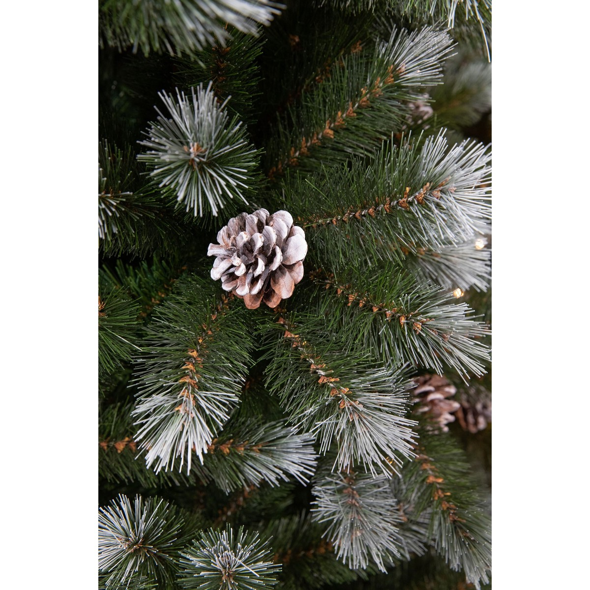 Close-up of frosted pine branches with a single pinecone in the center.