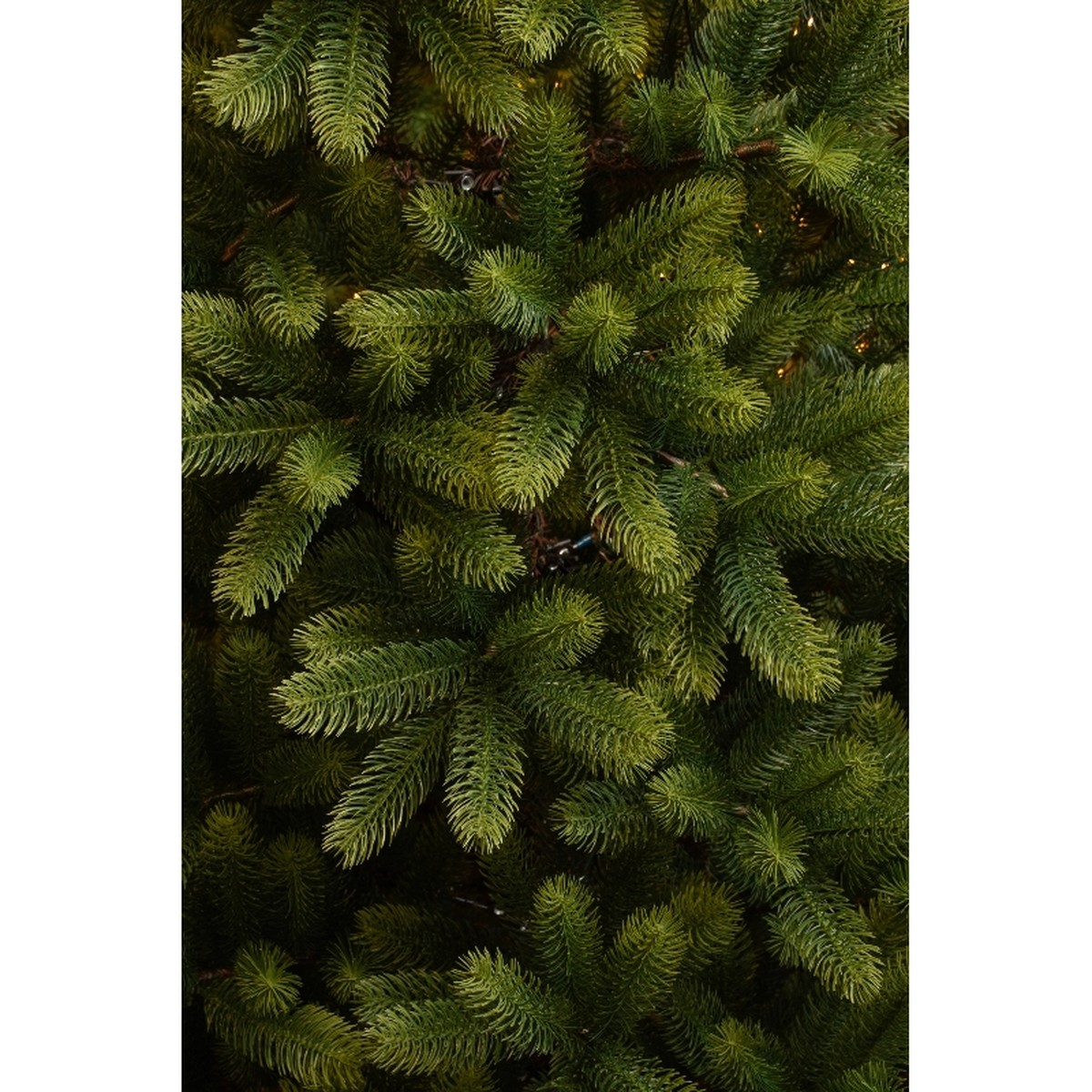 Dense green pine needles and branches of a Christmas tree with small lights.