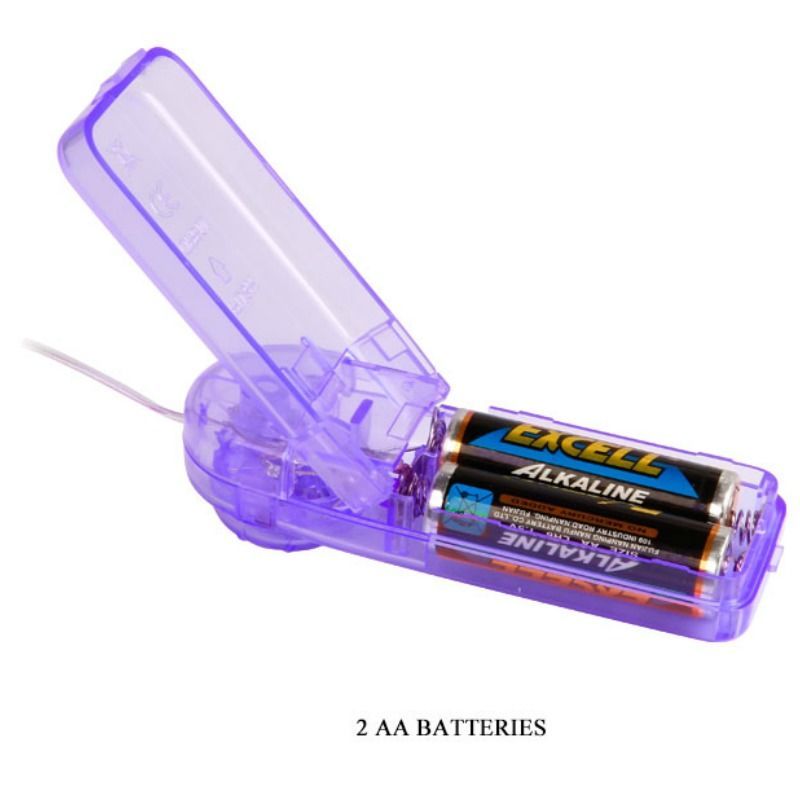 Lila Plastik-Batteriehalter mit zwei eingelegten AA-Alkalibatterien.