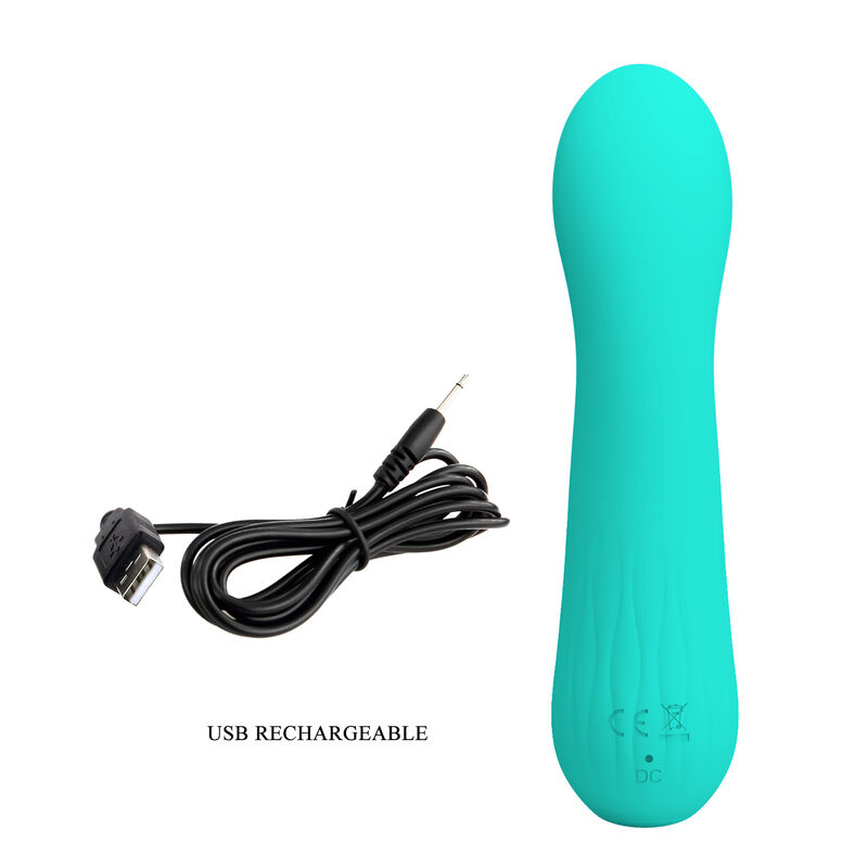 Un vibrador turquesa en forma de varita junto a un cable de carga USB negro sobre fondo blanco.