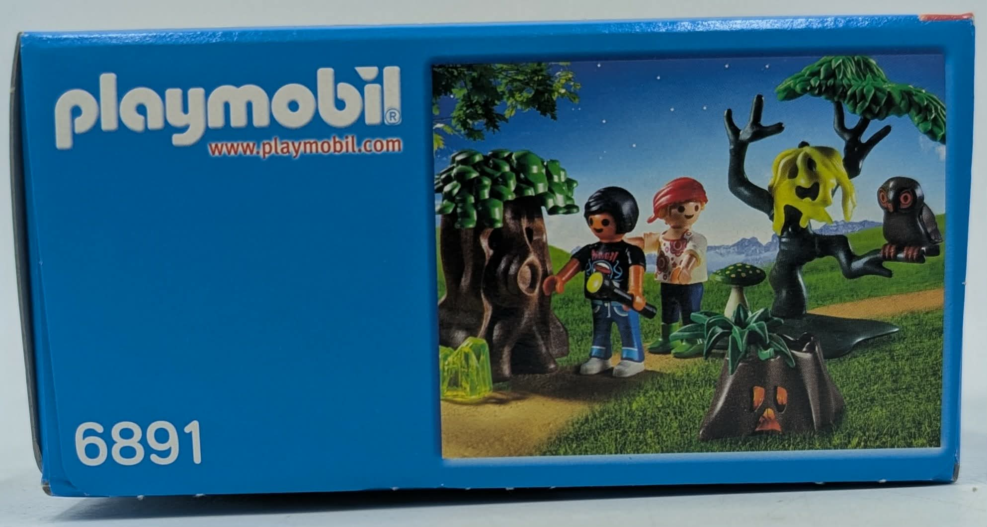 Playmobil-Spielset 6891 Box mit zwei Figuren, Bäumen, Pflanzen und einer Eule bei Nacht.