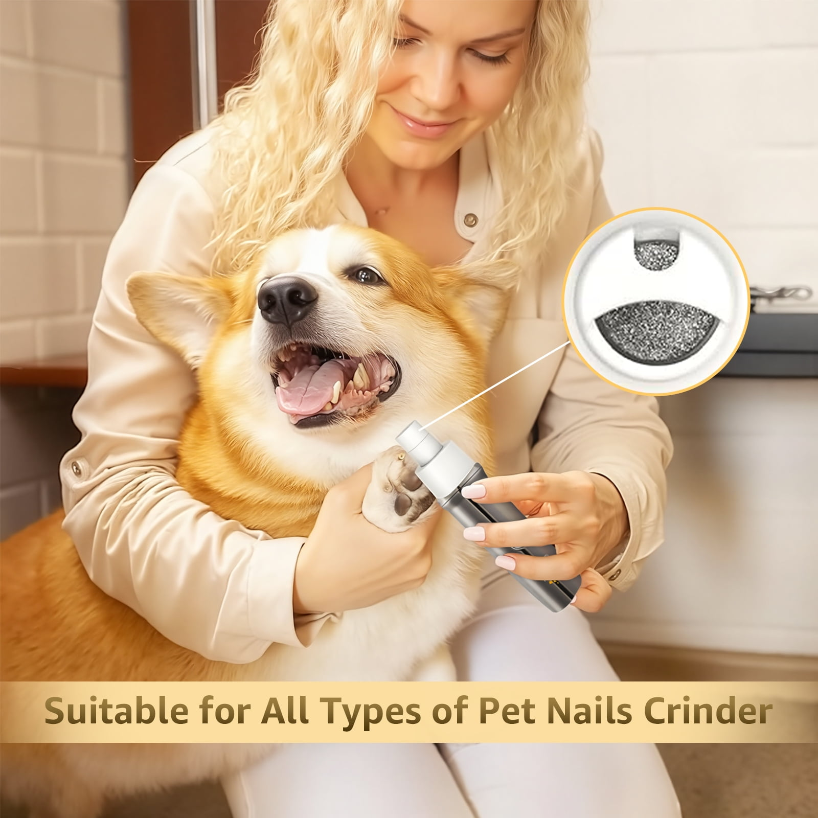 Eine Frau hält einen Corgi und benutzt einen elektrischen Haustiernagelschleifer.