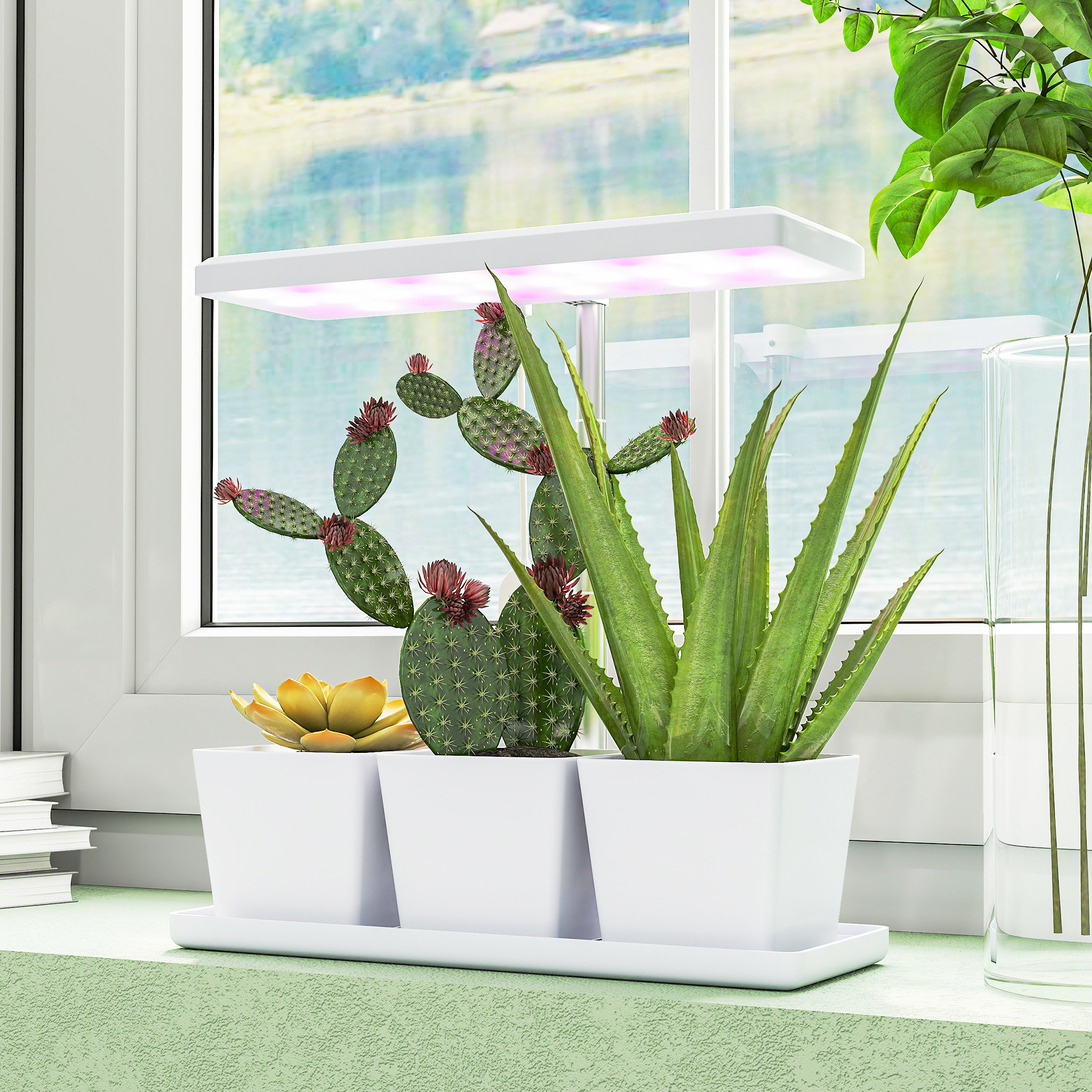 Tres macetas blancas con suculentas y cactus están en el alféizar de una ventana bajo una luz de cultivo.