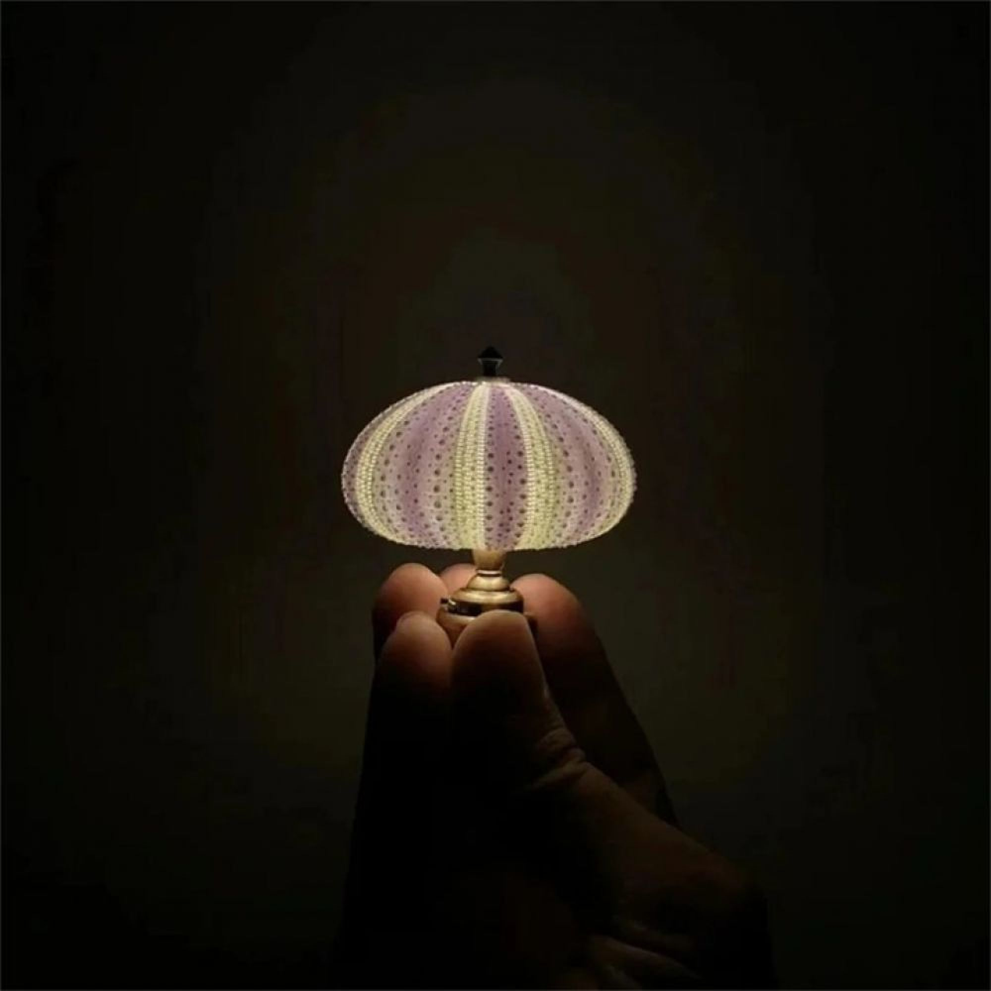Eine Hand hält eine kleine, leuchtende Lampe mit lila-gelbem Schirm in dunkler Umgebung.