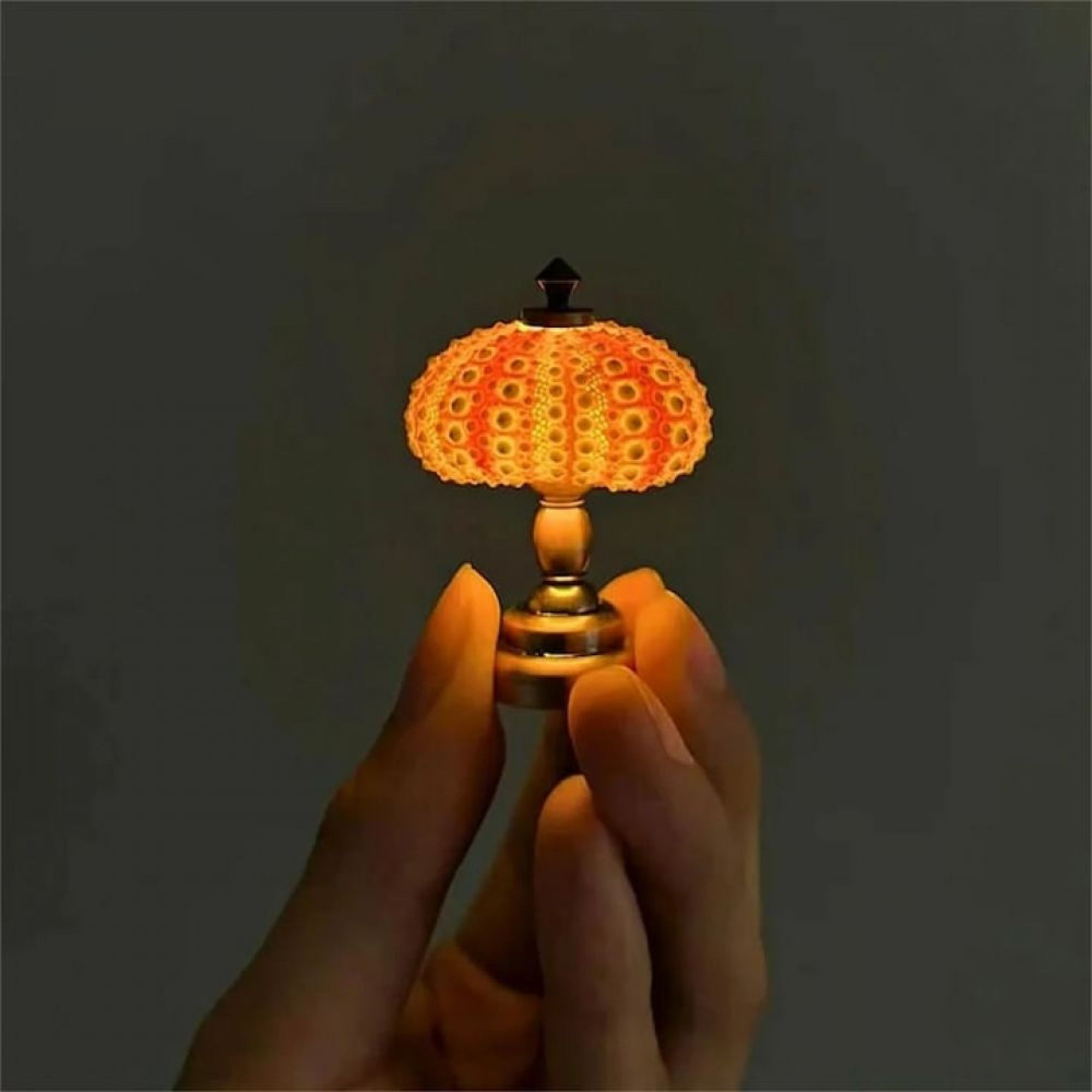 Eine winzige, leuchtend orangefarbene Lampe aus einer Seeigelschale wird vor dunklem Hintergrund zwischen Fingern gehalten.