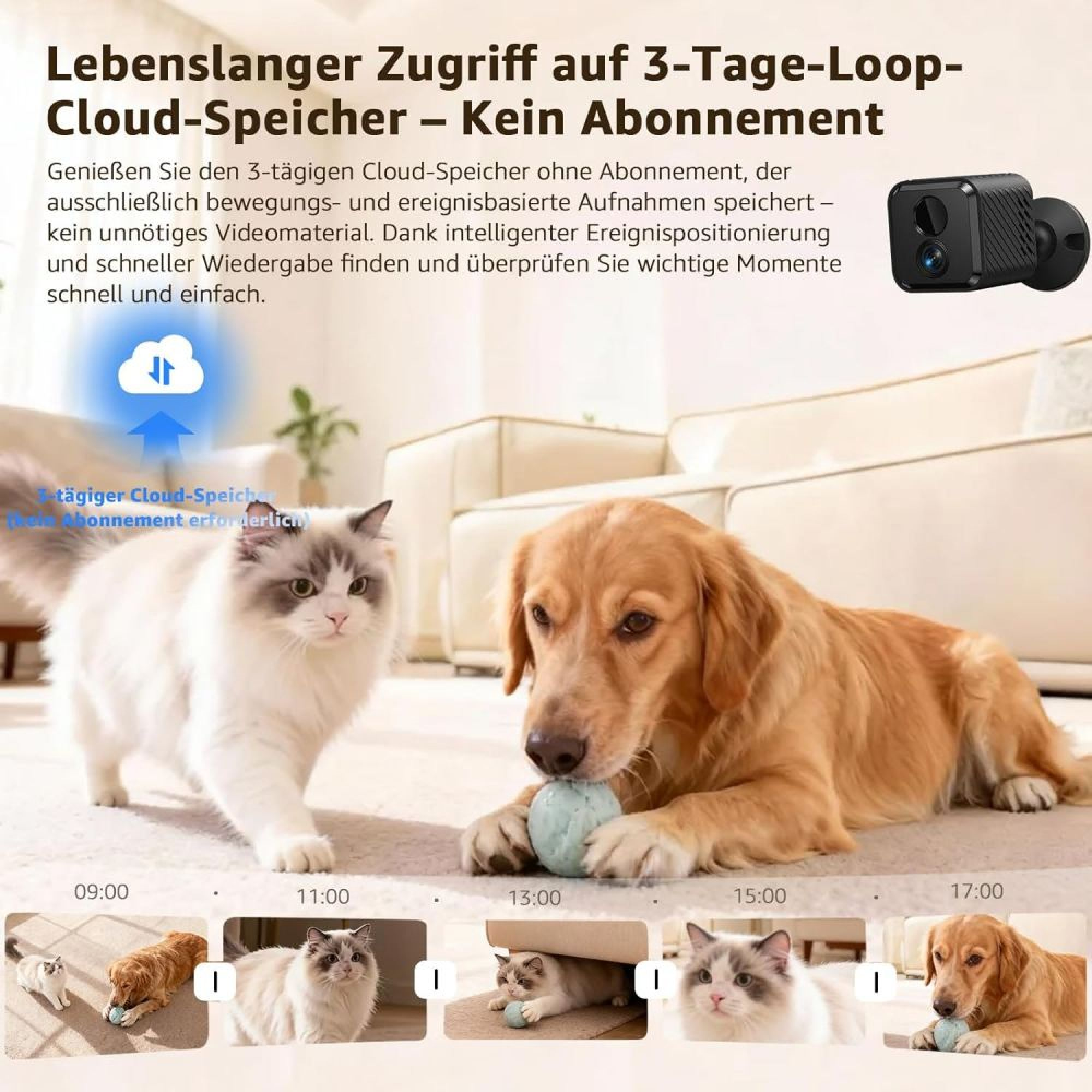 Katze und Hund in einer Wohnung, mit deutscher Werbung für Cloud-Speicher und Timeline-Ansicht.