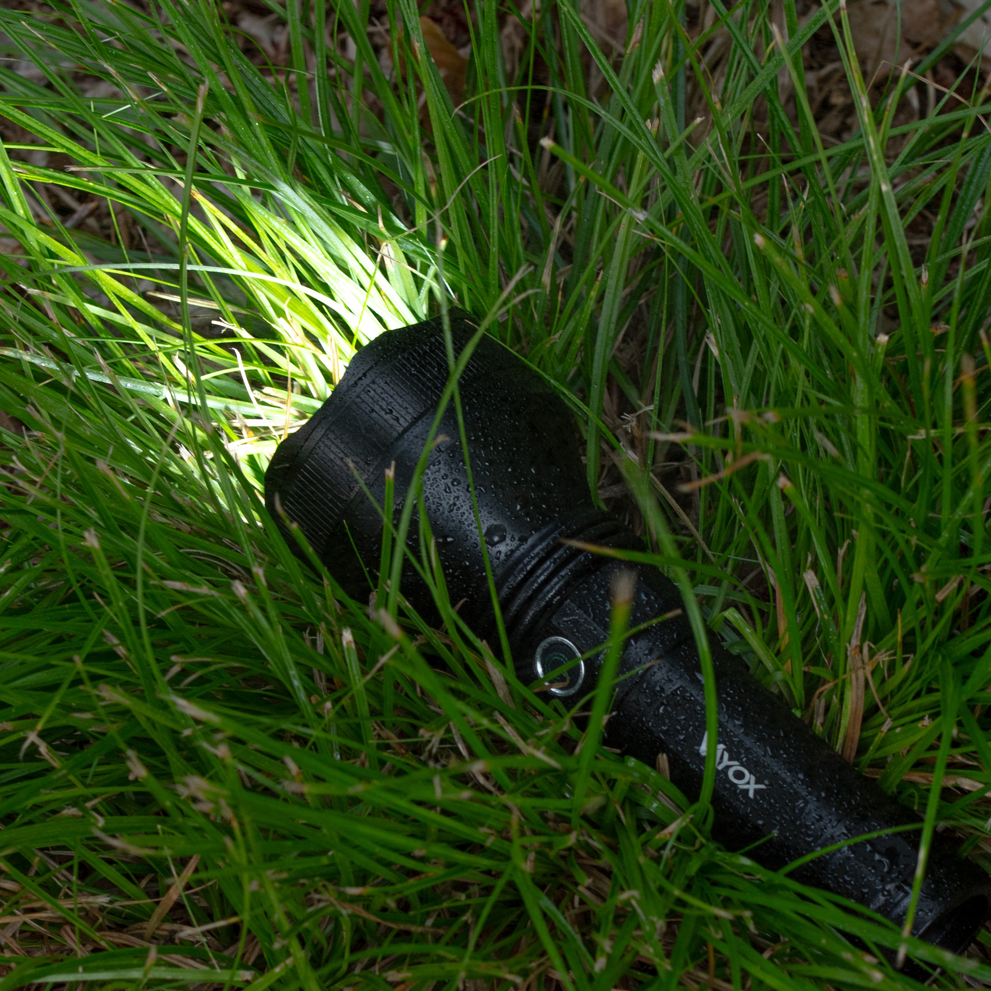 Eine nasse schwarze Taschenlampe liegt im Gras, ihr Strahl beleuchtet die Halme.
