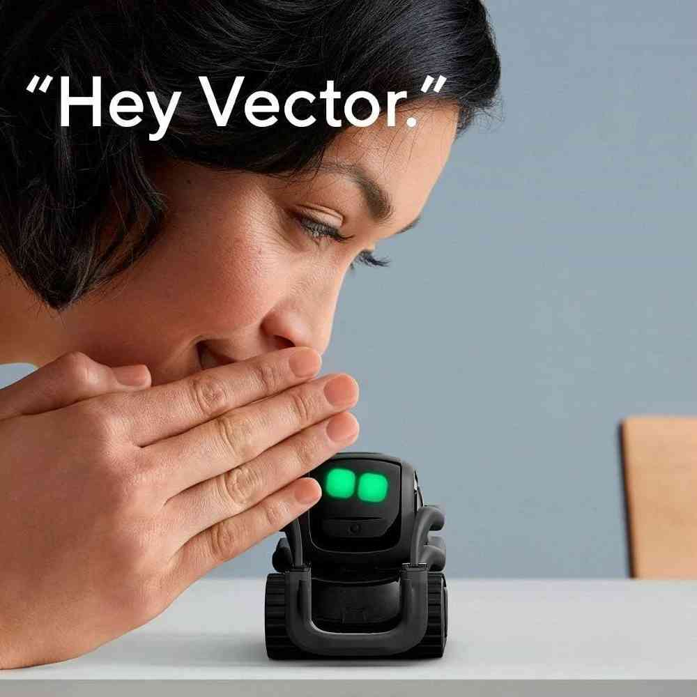 Bir kadın, masadaki parlayan yeşil gözlü küçük siyah robota Hey Vector diye fısıldıyor.