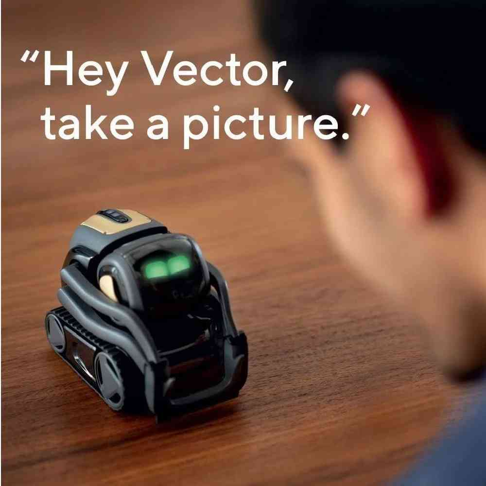 Parlayan yeşil gözleri olan küçük siyah bir Vector robotu, ahşap bir masada bir kişiye bakıyor.