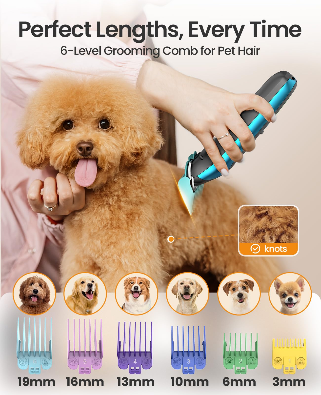 Une personne utilise une tondeuse bleue sur un caniche brun, avec six peignes de guidage différents en bas.
