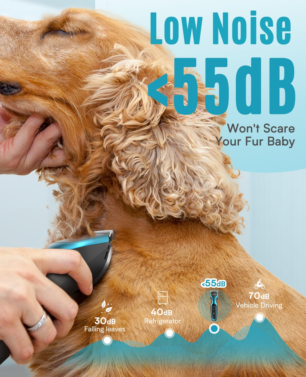 Qualcuno taglia il pelo di un cane dorato con un tosatrice silenziosa.
