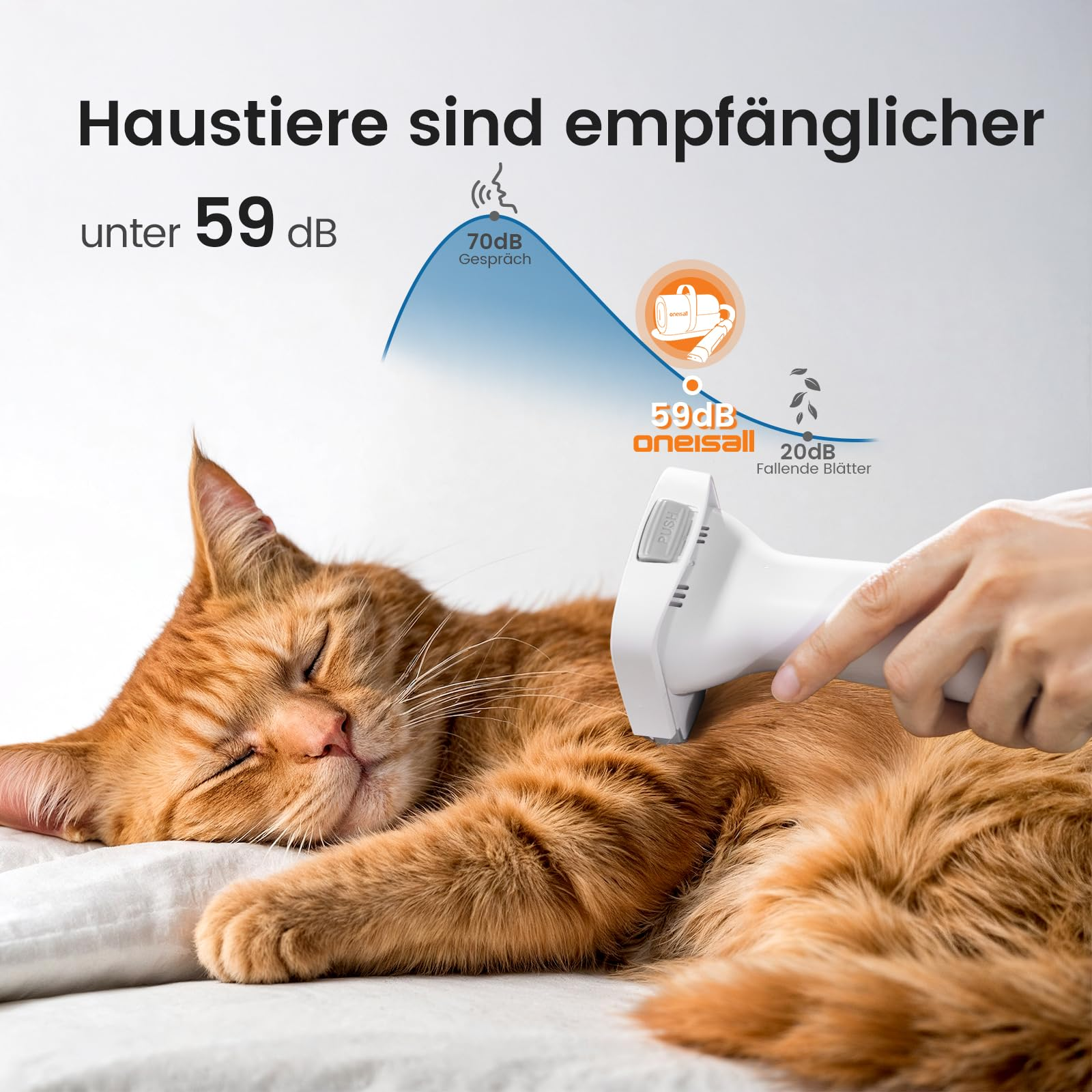 Una mano spazzola un gatto rosso rilassato con un attrezzo silenzioso, con testo e grafico del rumore.