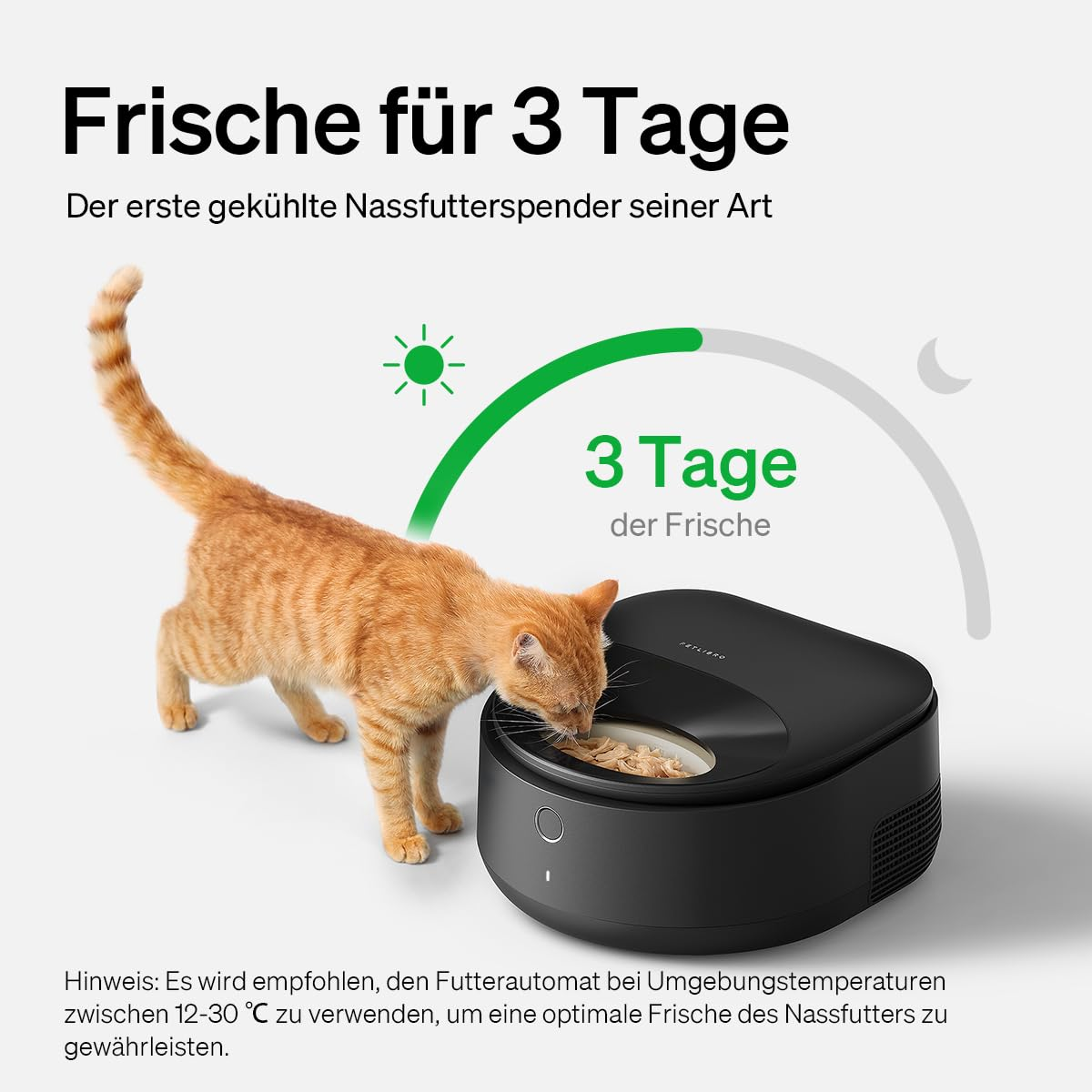 Un chat tigré orange mange dans une gamelle automatique noire réfrigérée sur fond clair.