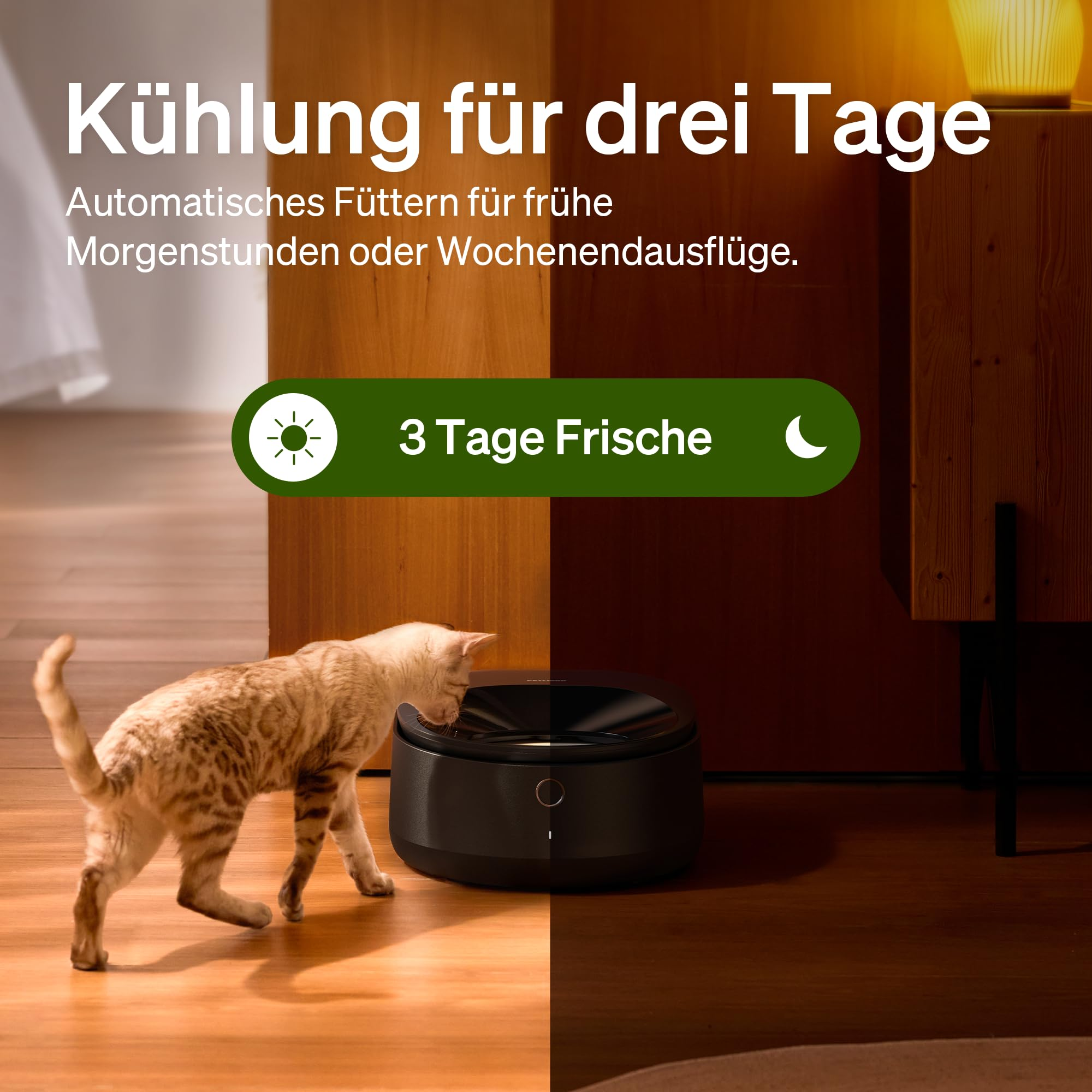 Un gatto mangia da una ciotola automatica nera su pavimento in legno, con testo.