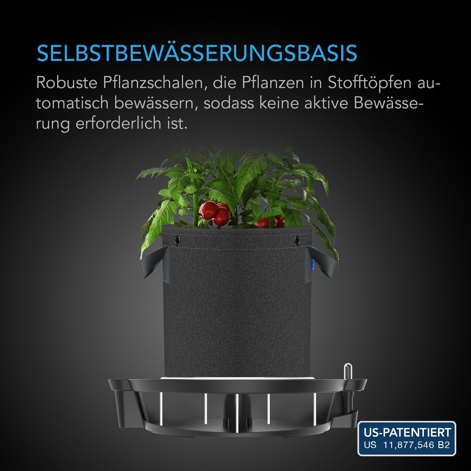 Un plant de tomate vert dans un pot en tissu sur une base auto-arrosante noire sur fond sombre.