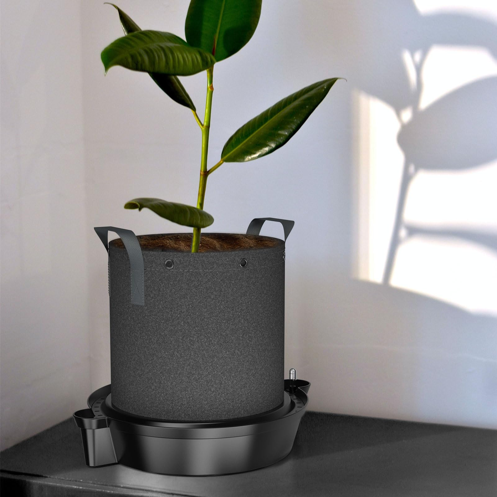 Une plante verte dans un pot en tissu gris sur une soucoupe noire contre un mur blanc.