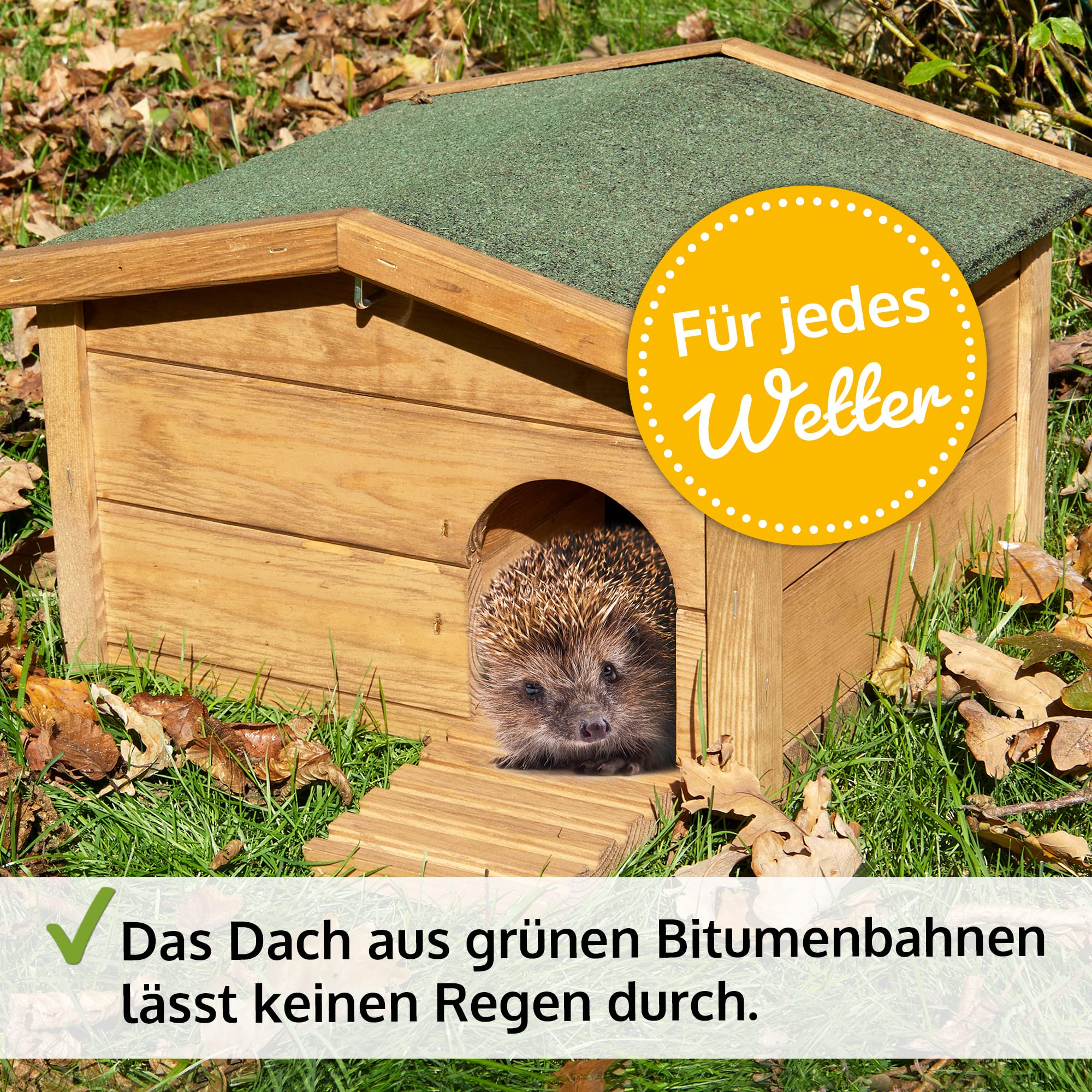 Un petit hérisson regarde hors d'une maison en bois au toit vert sur de l'herbe.
