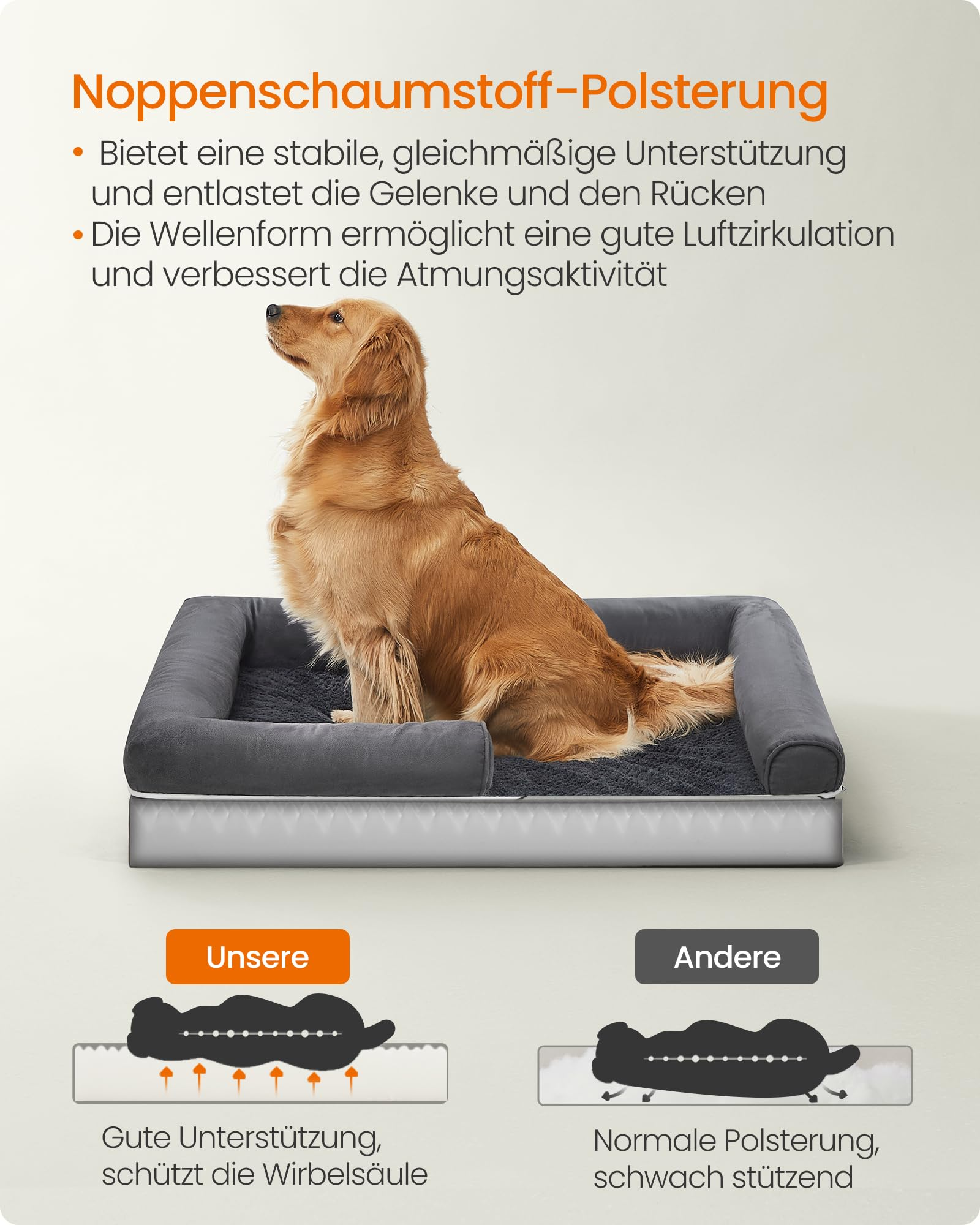 Un golden retriever siede in una cuccia ortopedica grigia per cani.