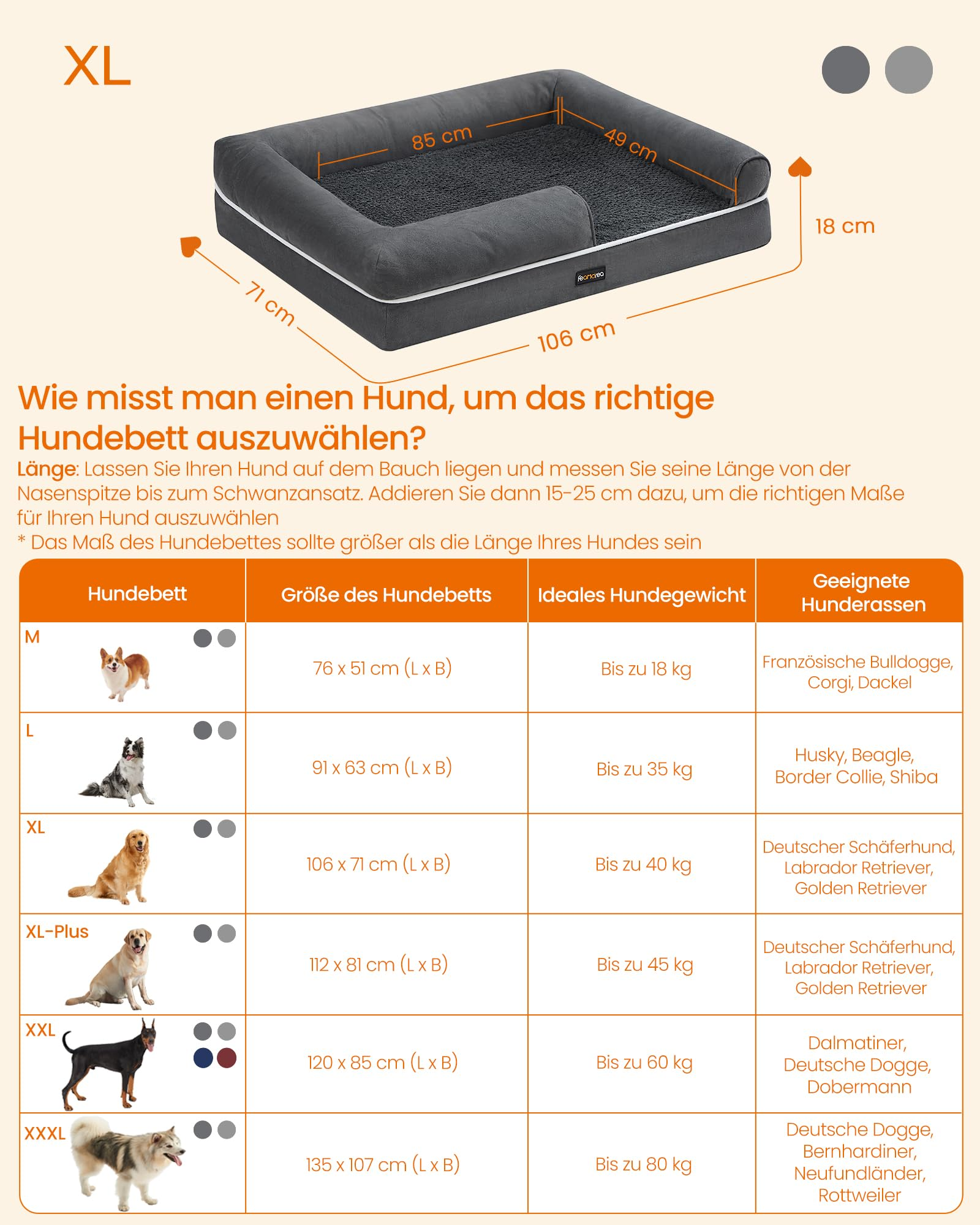 L'infografica mostra le misure delle cucce per cani, peso e razze.