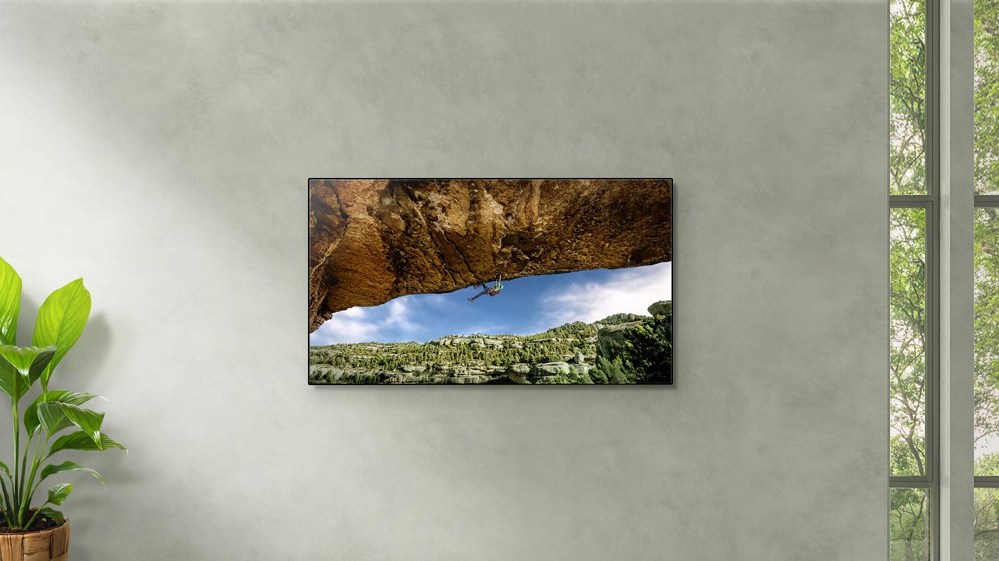 Une télé sur un mur gris montre un grimpeur sous une roche, avec une plante à gauche.