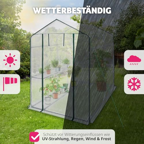 Serre résistante aux intempéries dans un jardin protégeant contre les UV, la pluie, le vent et le gel.