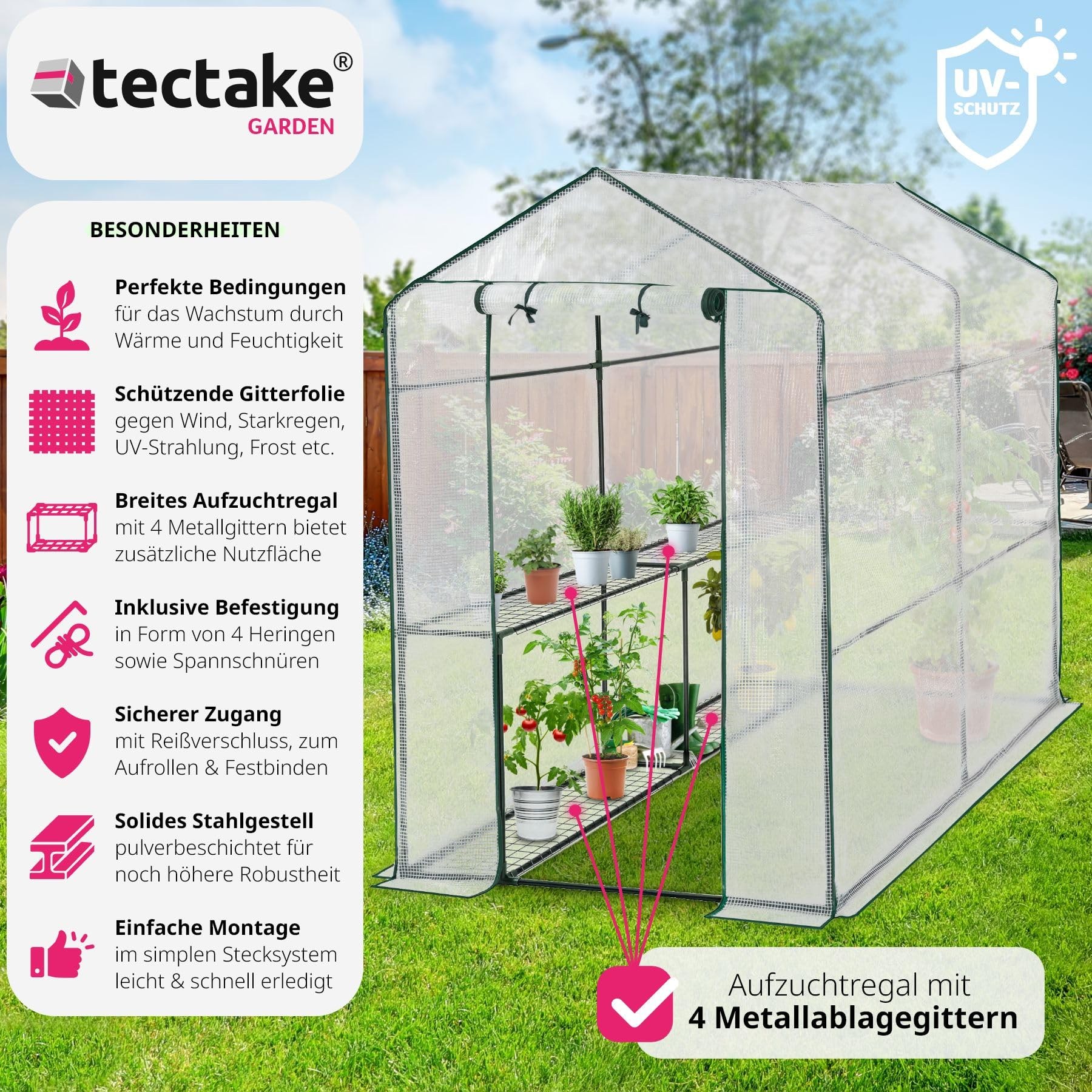 Une serre en plastique avec armature métallique et plantes se trouve sur la pelouse.