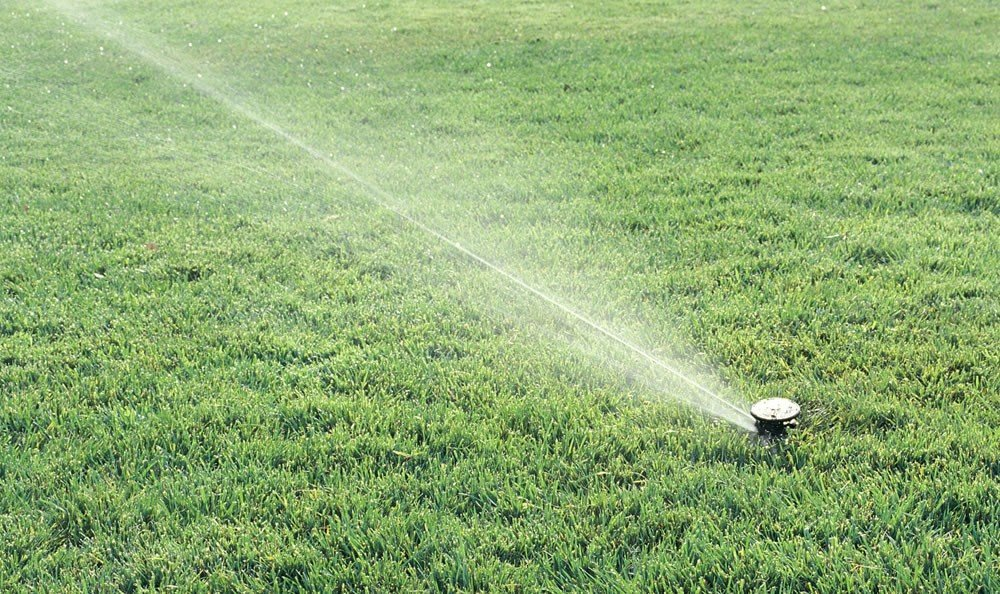 Ein Rasensprenger bewässert eine grüne Wiese und sprüht feine Wassertropfen in die Luft.