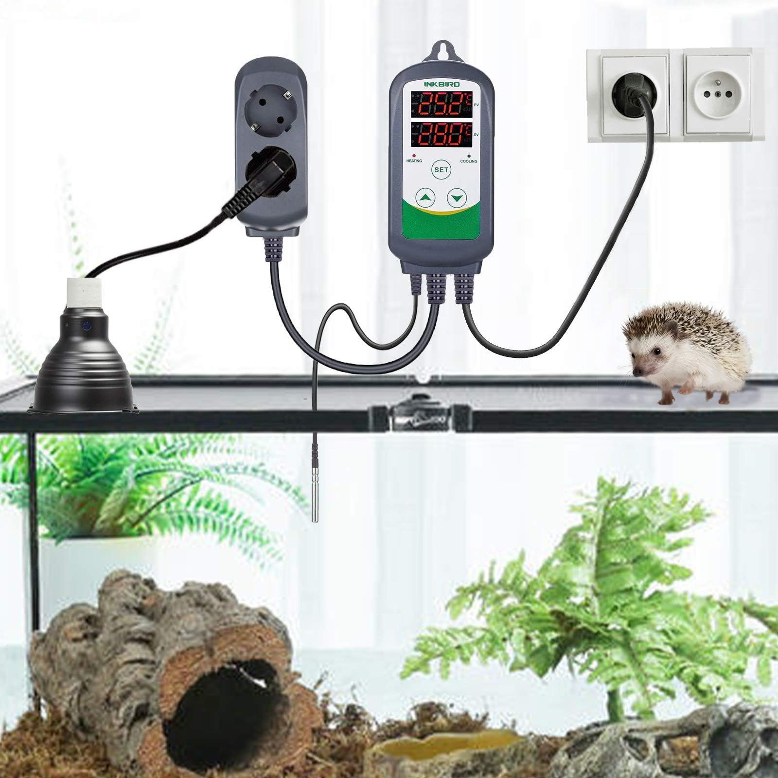 Ein Inkbird-Digitalthermostat mit Heizlampe und einem kleinen Igel vor Terrarienhintergrund.