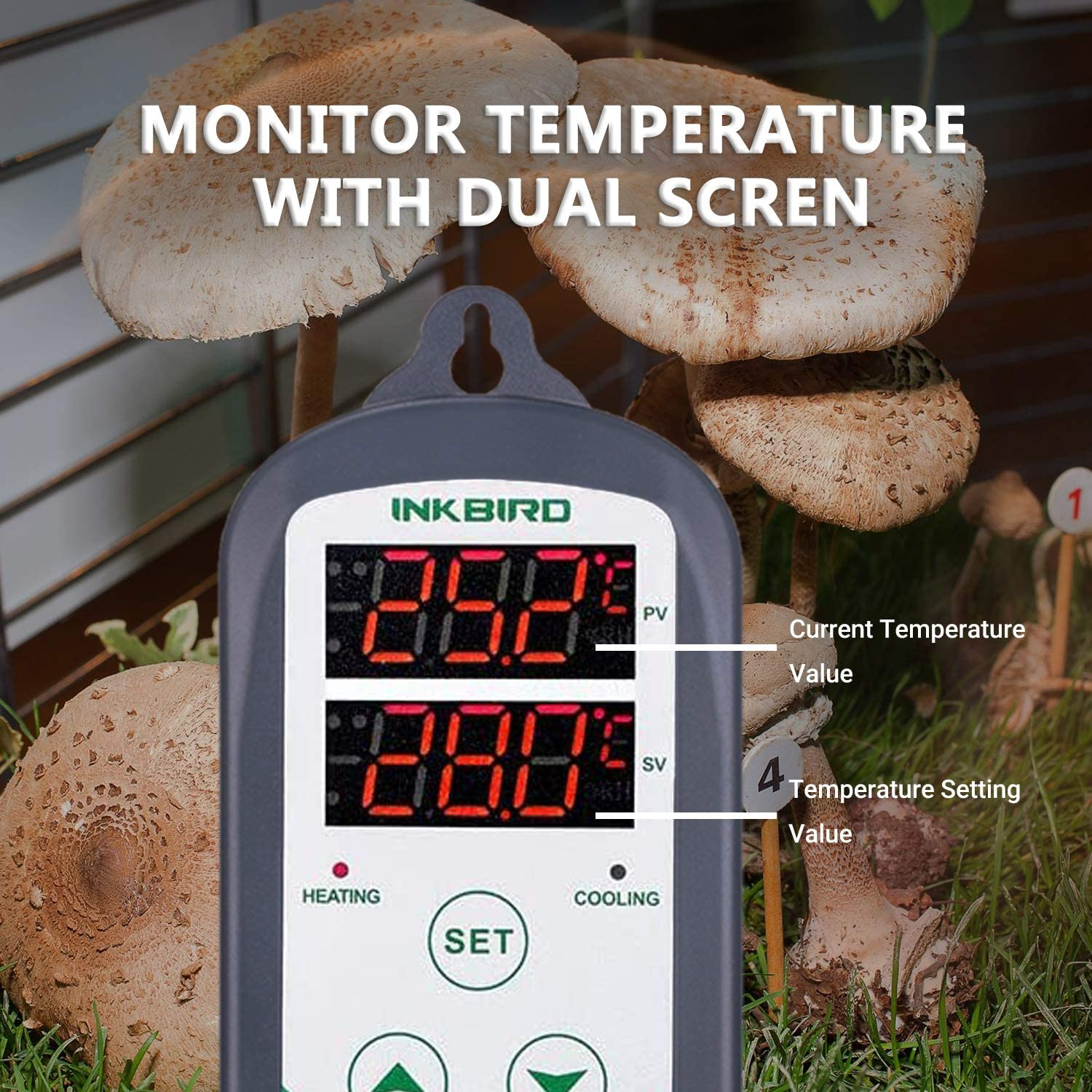 Ein digitaler Temperaturregler von Inkbird vor Pilzen und Gras.