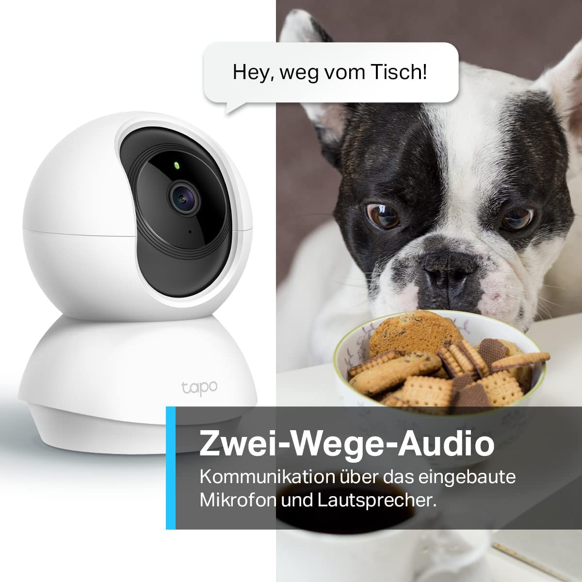 Une caméra de sécurité blanche Tapo et un chien reniflant des biscuits, avec du texte sur l'audio bidirectionnel.
