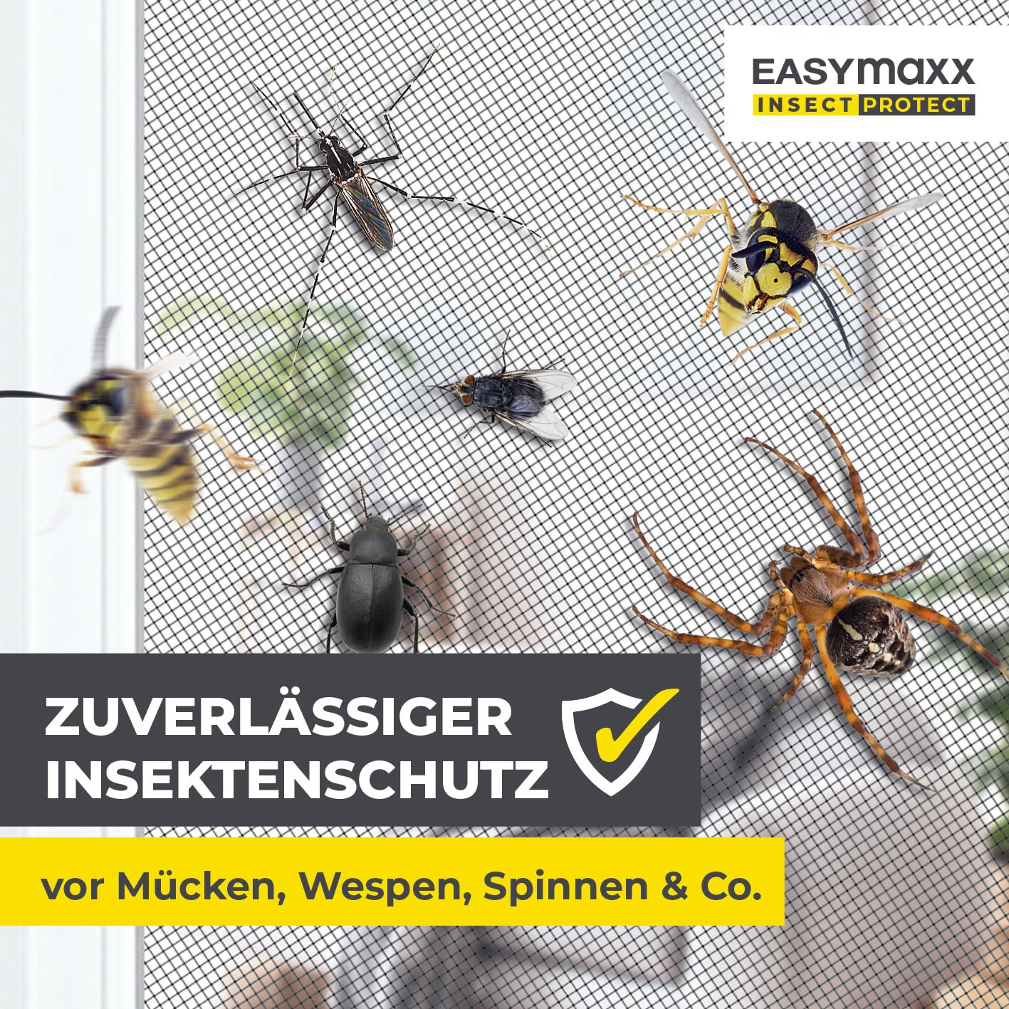 Verschiedene Insekten wie Mücken, Wespen, Fliegen und eine Spinne auf einem Insektenschutzgitter.
