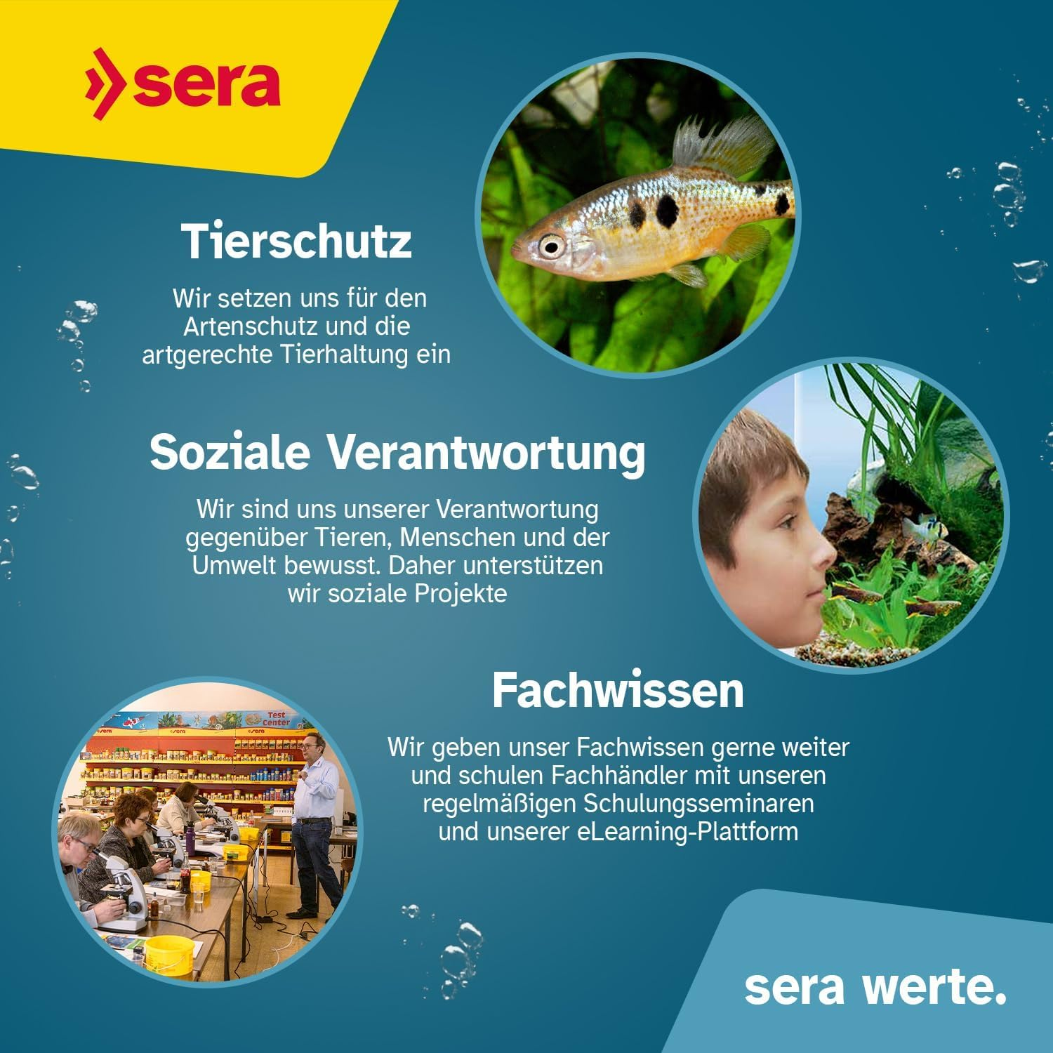 Affiche des valeurs de Sera avec un poisson, un enfant devant un aquarium et une formation sur fond bleu.