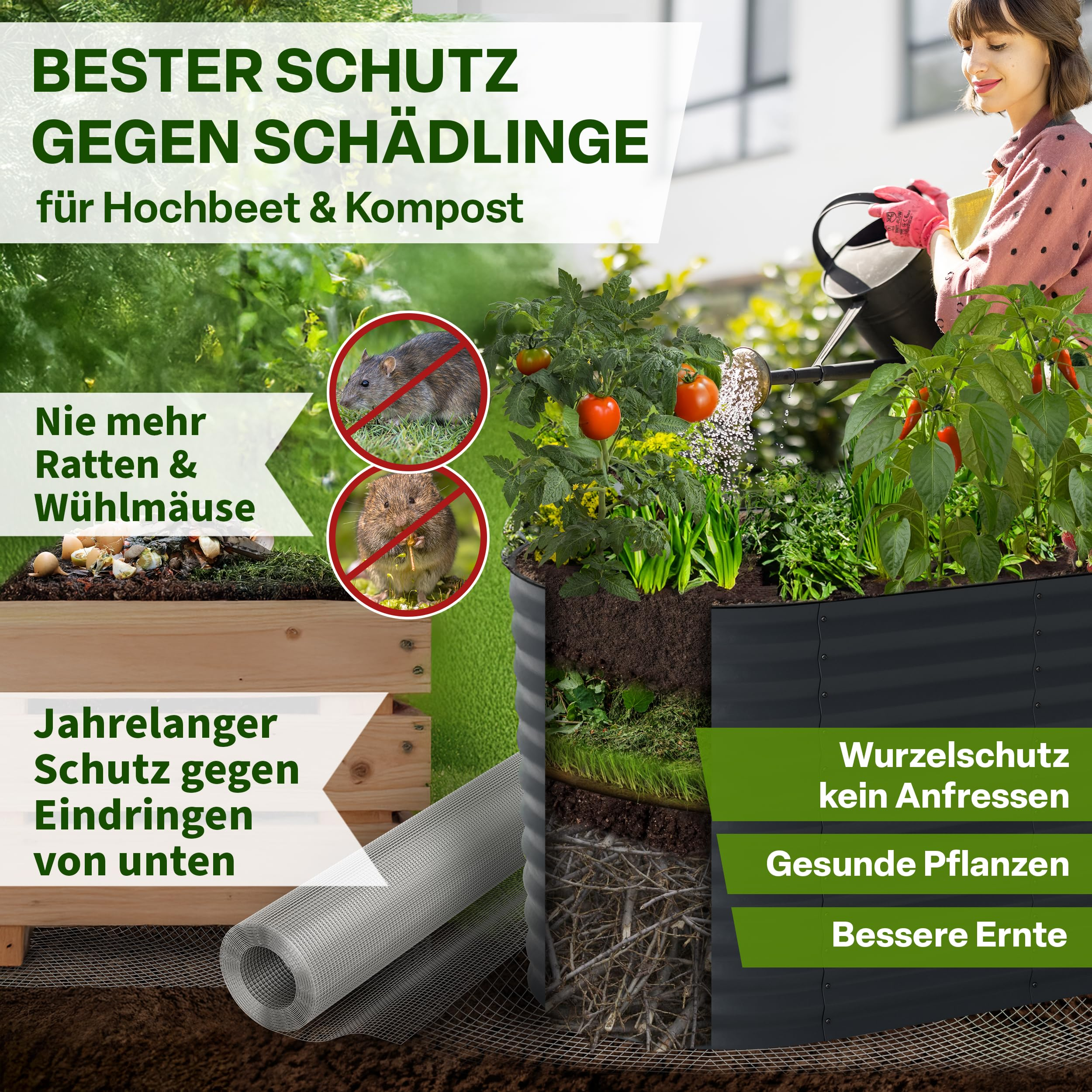 Un potager surélevé avec protection contre les nuisibles et une femme arrosant des plantes, entouré de texte.