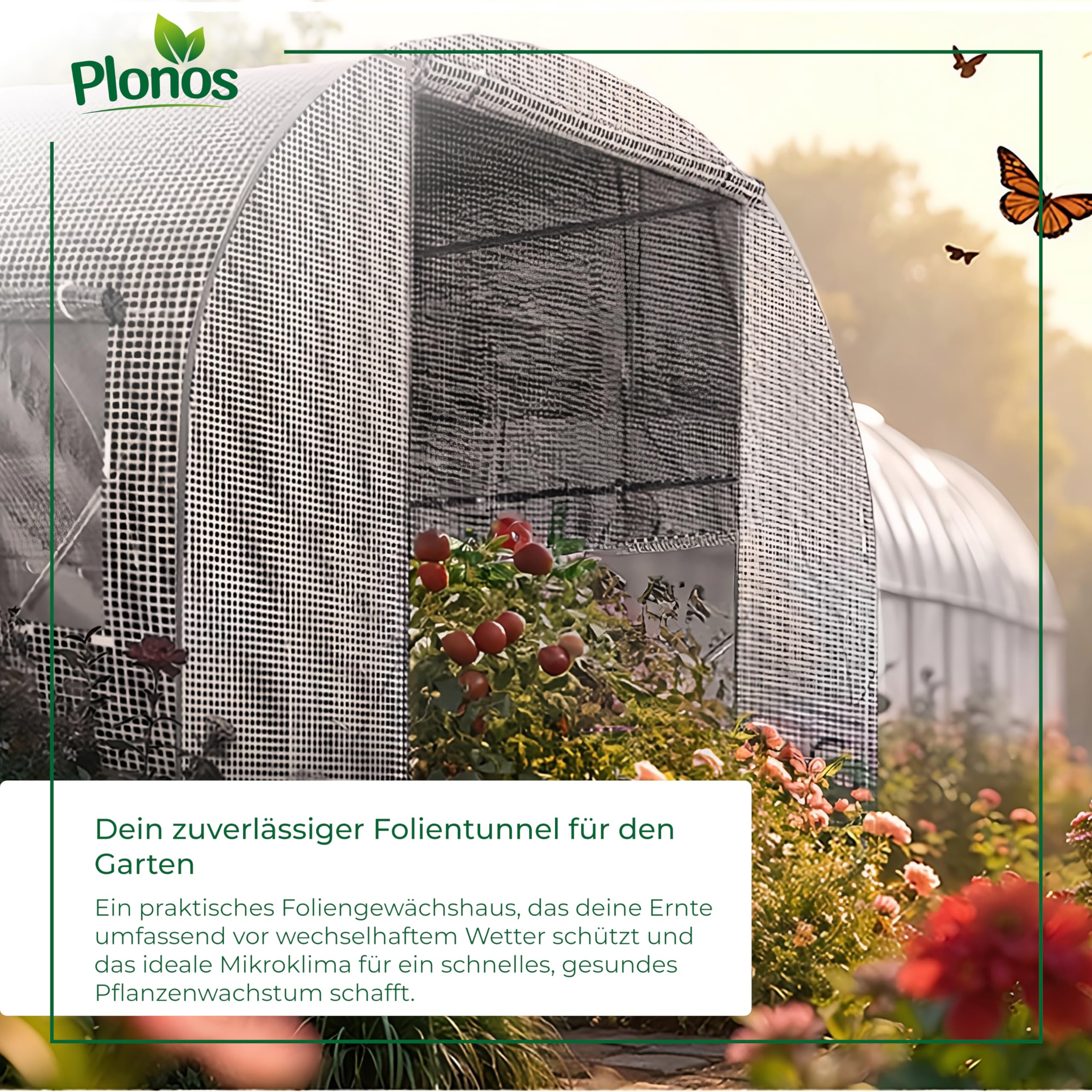 Un tunnel en plastique voûté avec des plants de tomates dans le jardin et logo Plonos.