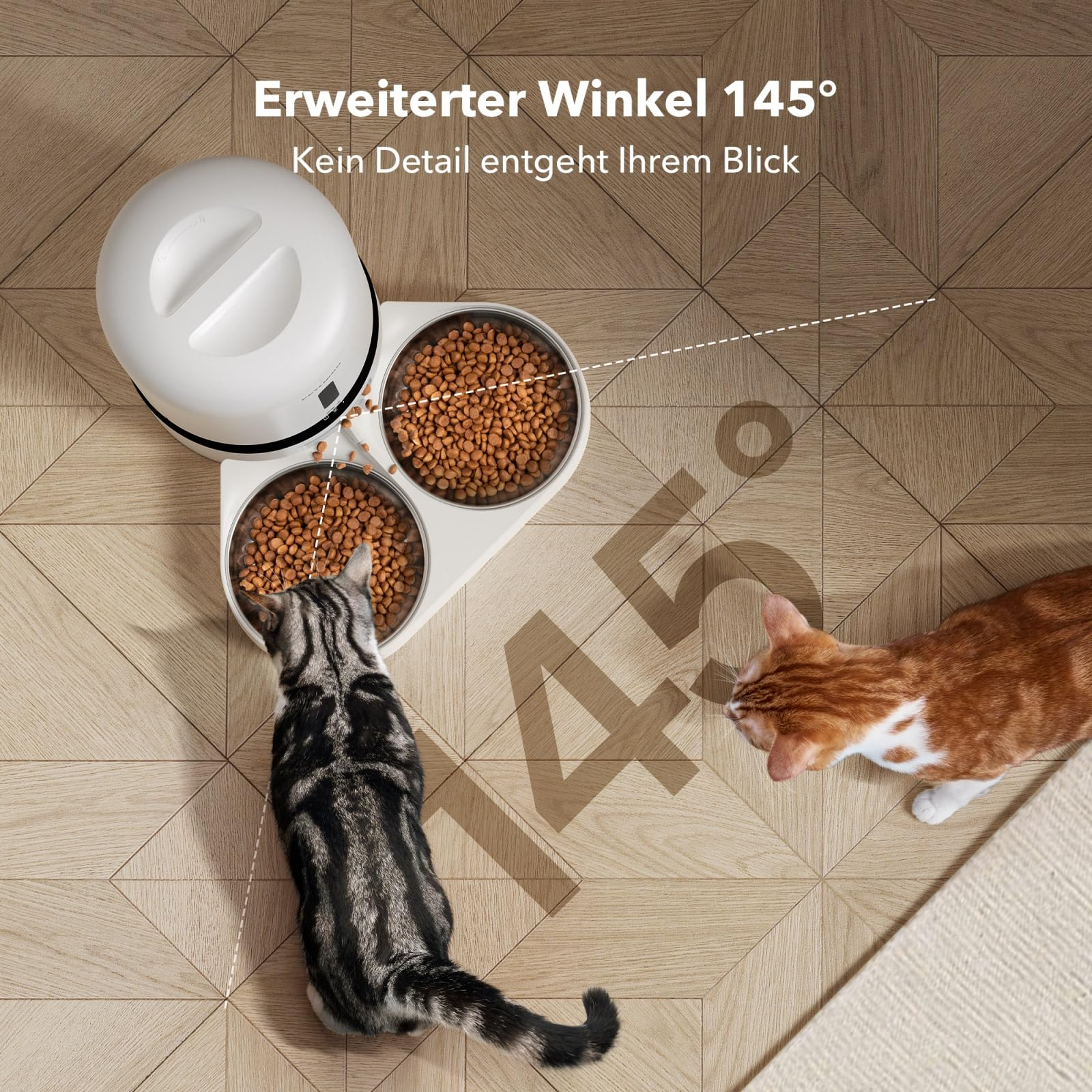 Deux chats mangeant des croquettes dans un distributeur automatique double sur un sol en bois.