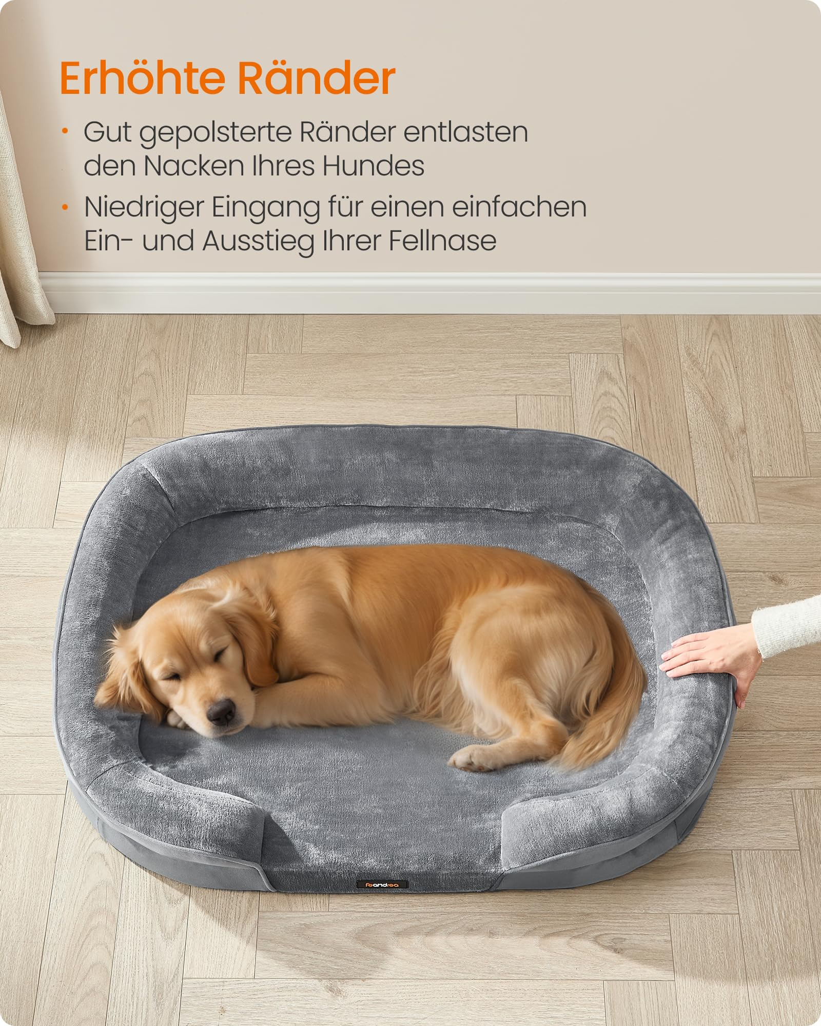 Un golden retriever dorme comodamente in una cuccia grigia su pavimento in legno.