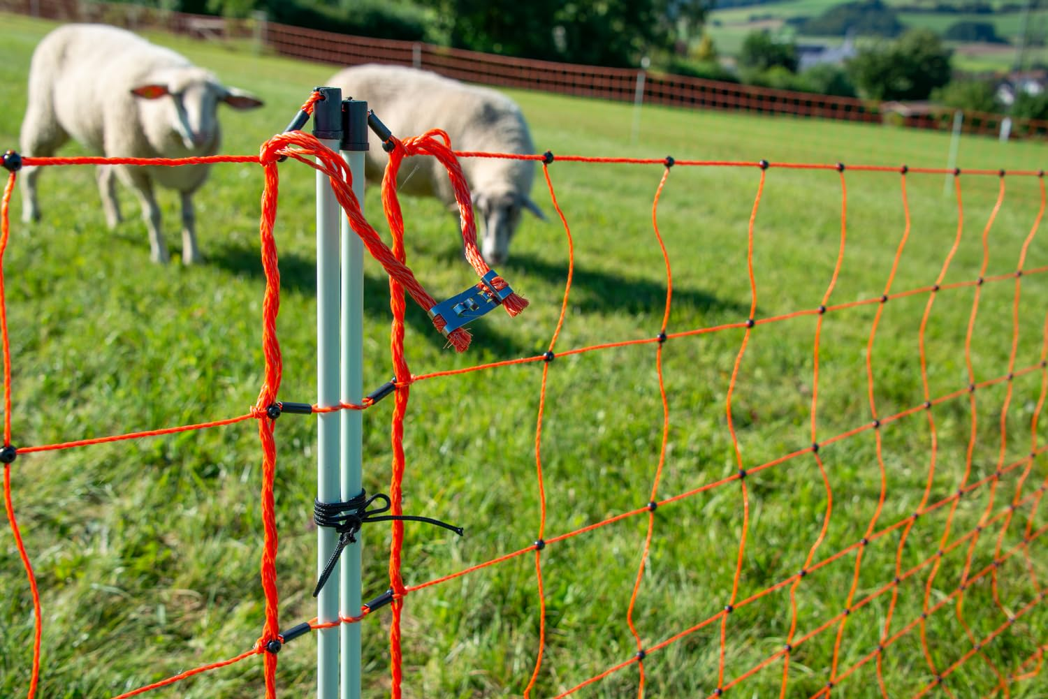 Une clôture électrique orange sur un pré vert avec des moutons qui paissent en arrière-plan.