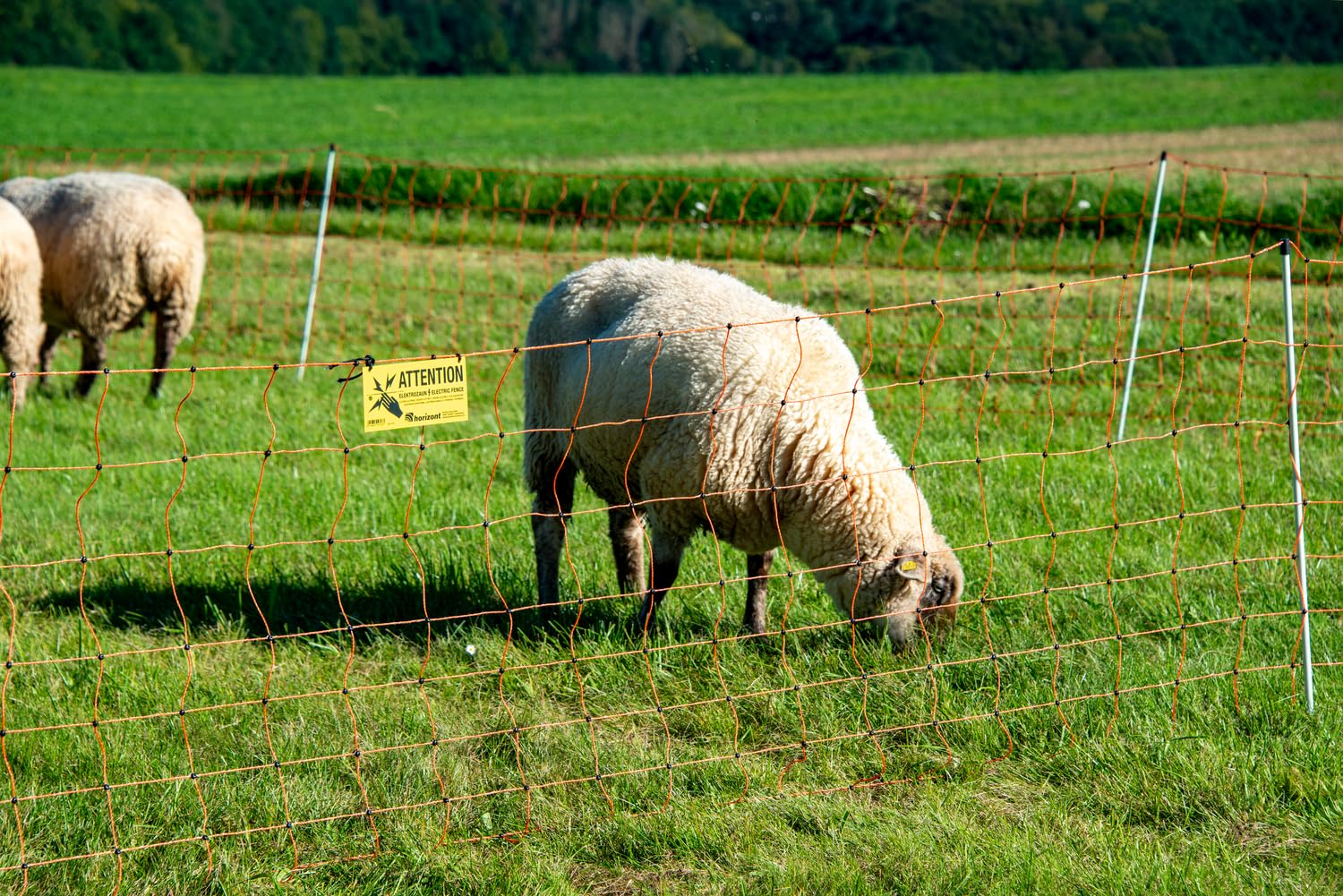 Des moutons paissent dans un pré vert derrière une clôture électrique orange.