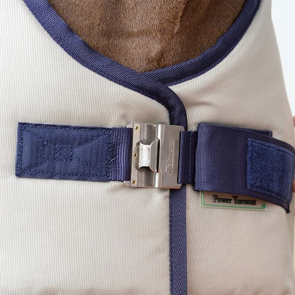 Gros plan d'une couverture de cheval beige avec bordure bleu foncé et boucle en métal argenté sur pelage marron.
