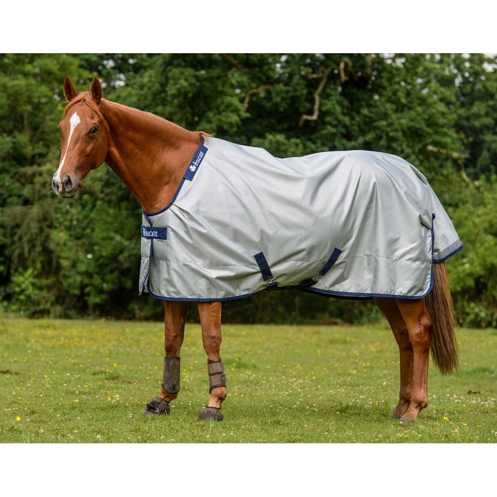 Un cheval marron portant une couverture gris argenté dans un pré vert avec des fleurs jaunes.
