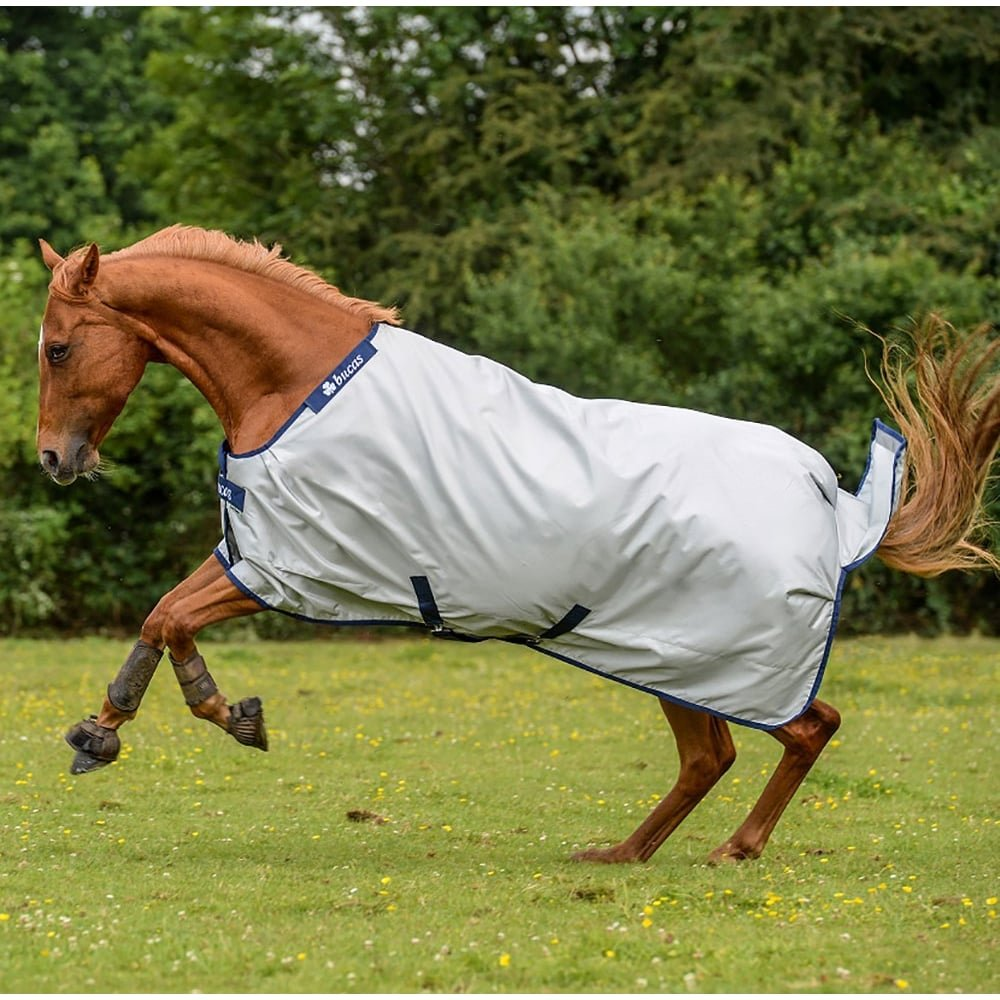 Un cheval marron avec une couverture grise galope et saute dans un pré vert avec des fleurs jaunes.