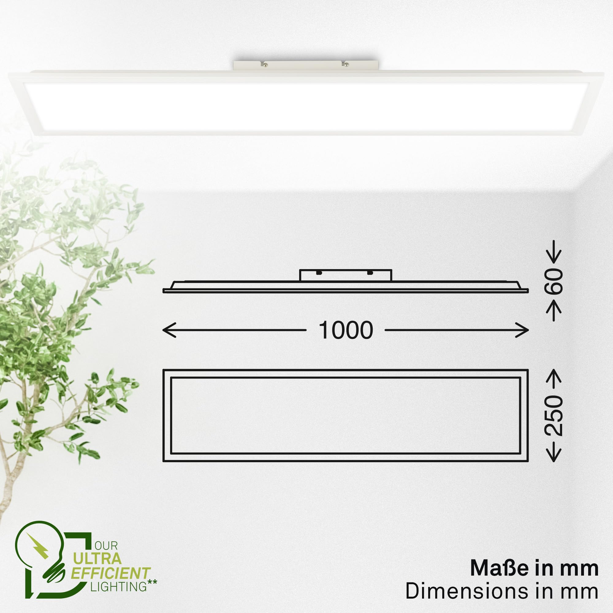 Una plafoniera rettangolare con dimensioni tecniche in mm e una pianta verde.