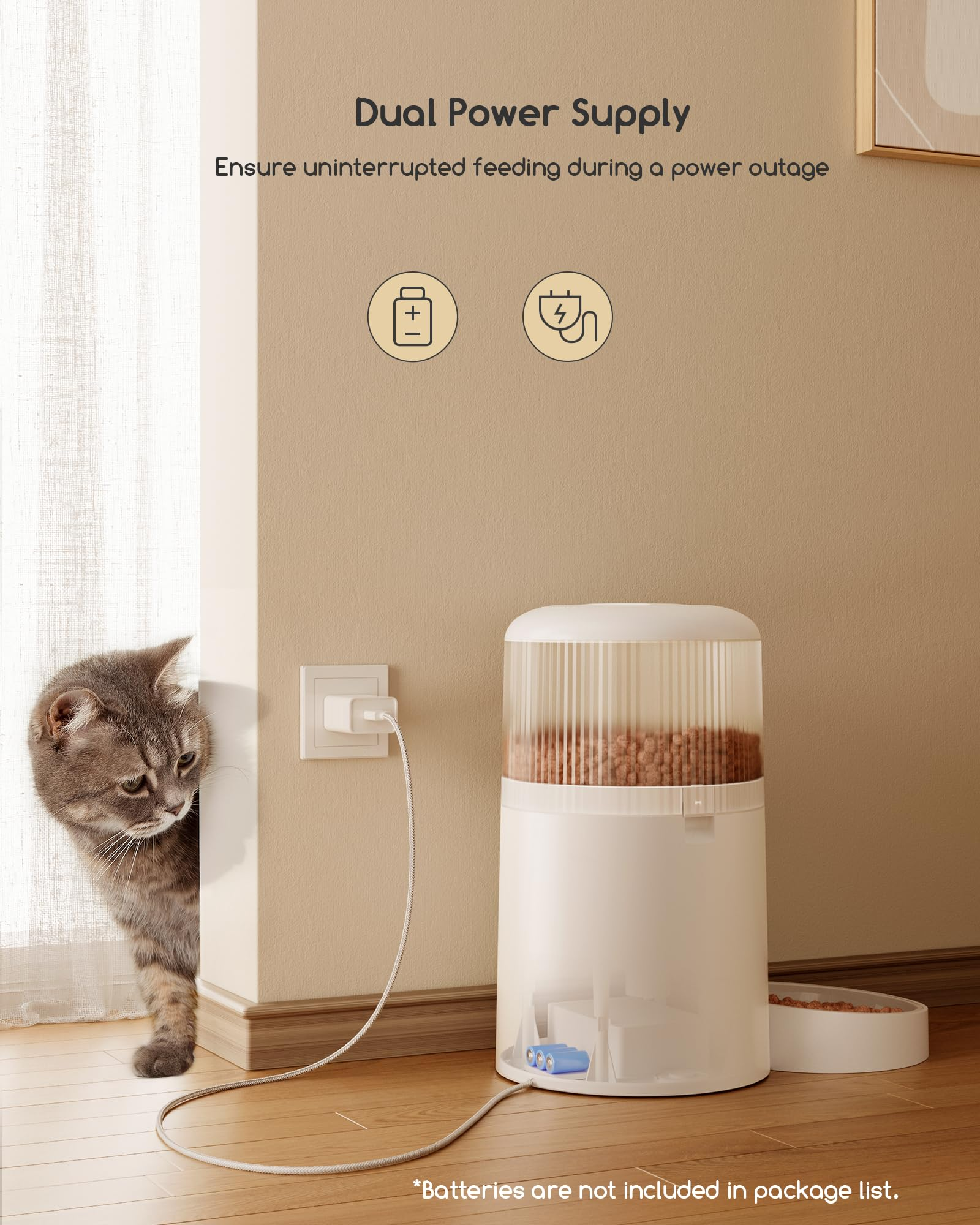 Un chat regarde autour d'un coin vers un distributeur automatique de nourriture avec double alimentation.