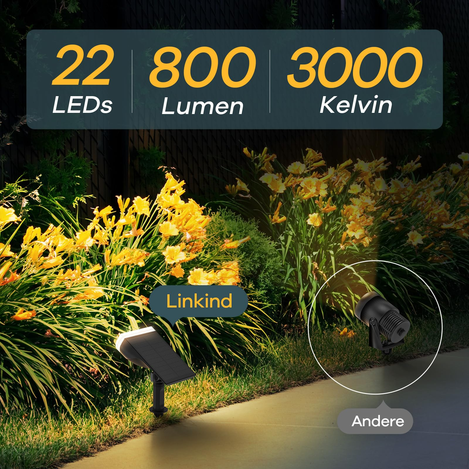 Projecteur solaire de jardin éclairant des fleurs jaunes le long d'un sentier avec 22 LED, 800 lumens et 3000K.