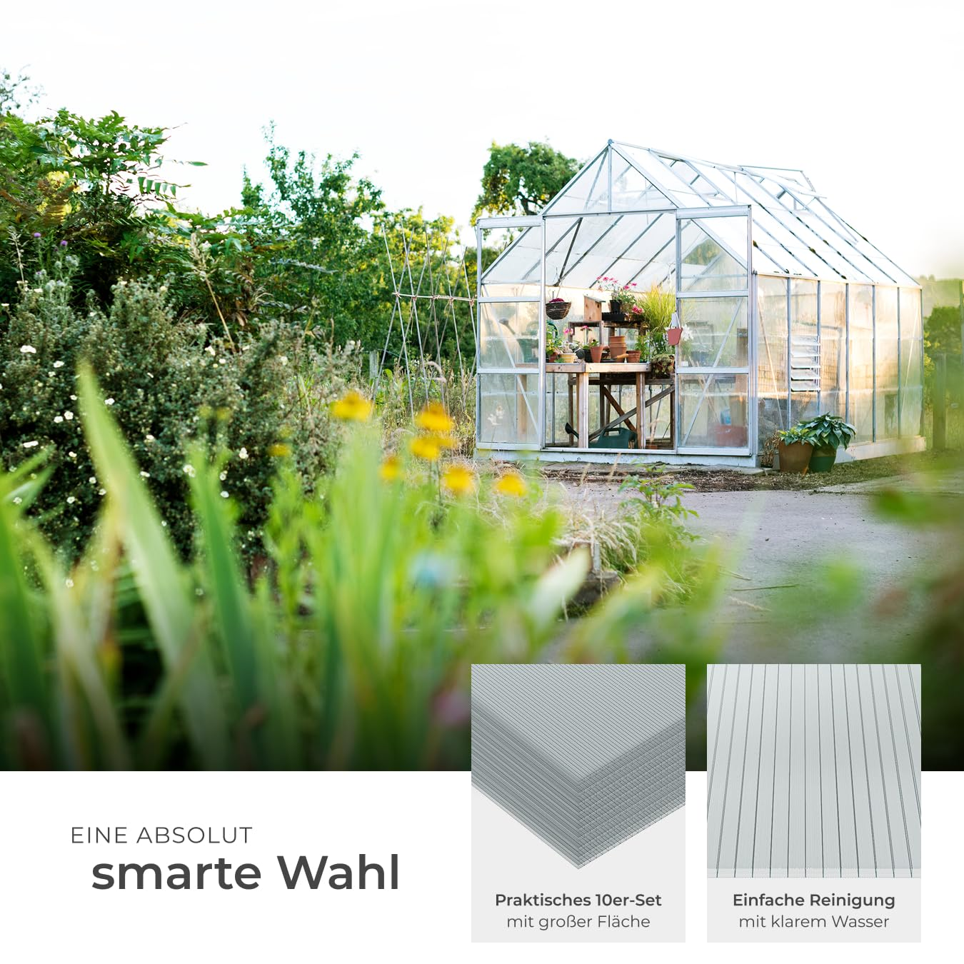 Une serre dans un jardin verdoyant, avec des plantes au premier plan et deux images de détail en bas.